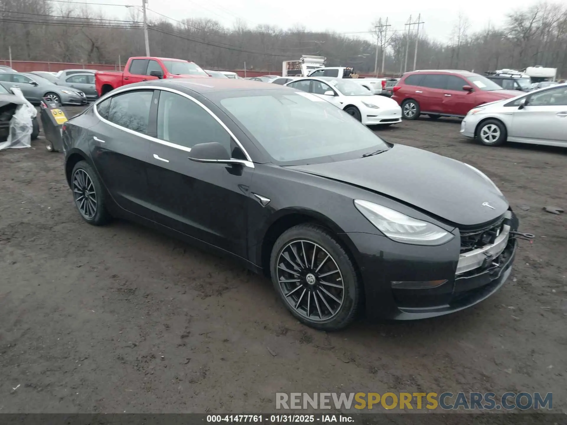 1 Photograph of a damaged car 5YJ3E1EA9KF304423 TESLA MODEL 3 2019