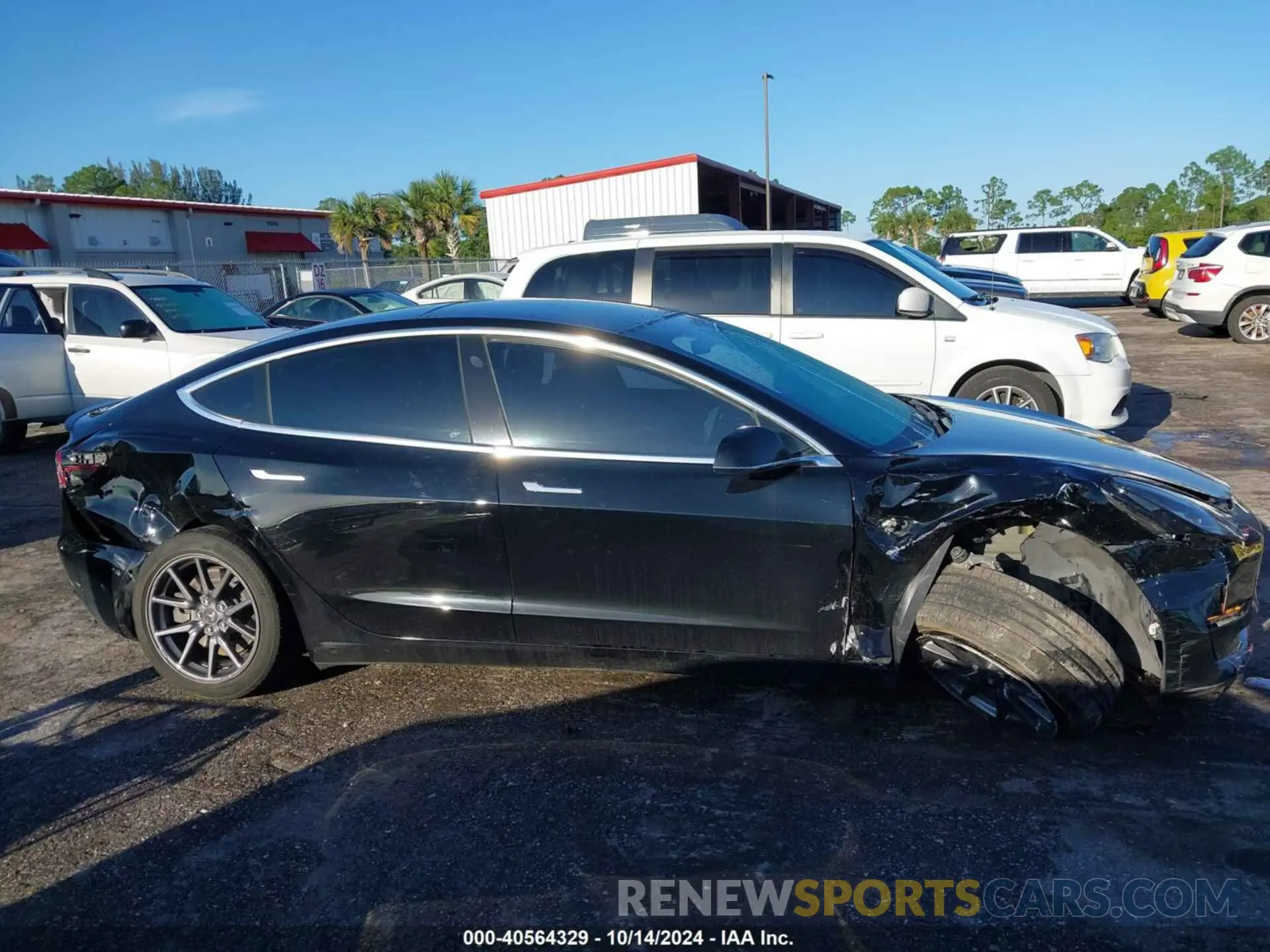 12 Photograph of a damaged car 5YJ3E1EAXKF325409 TESLA MODEL 3 2019