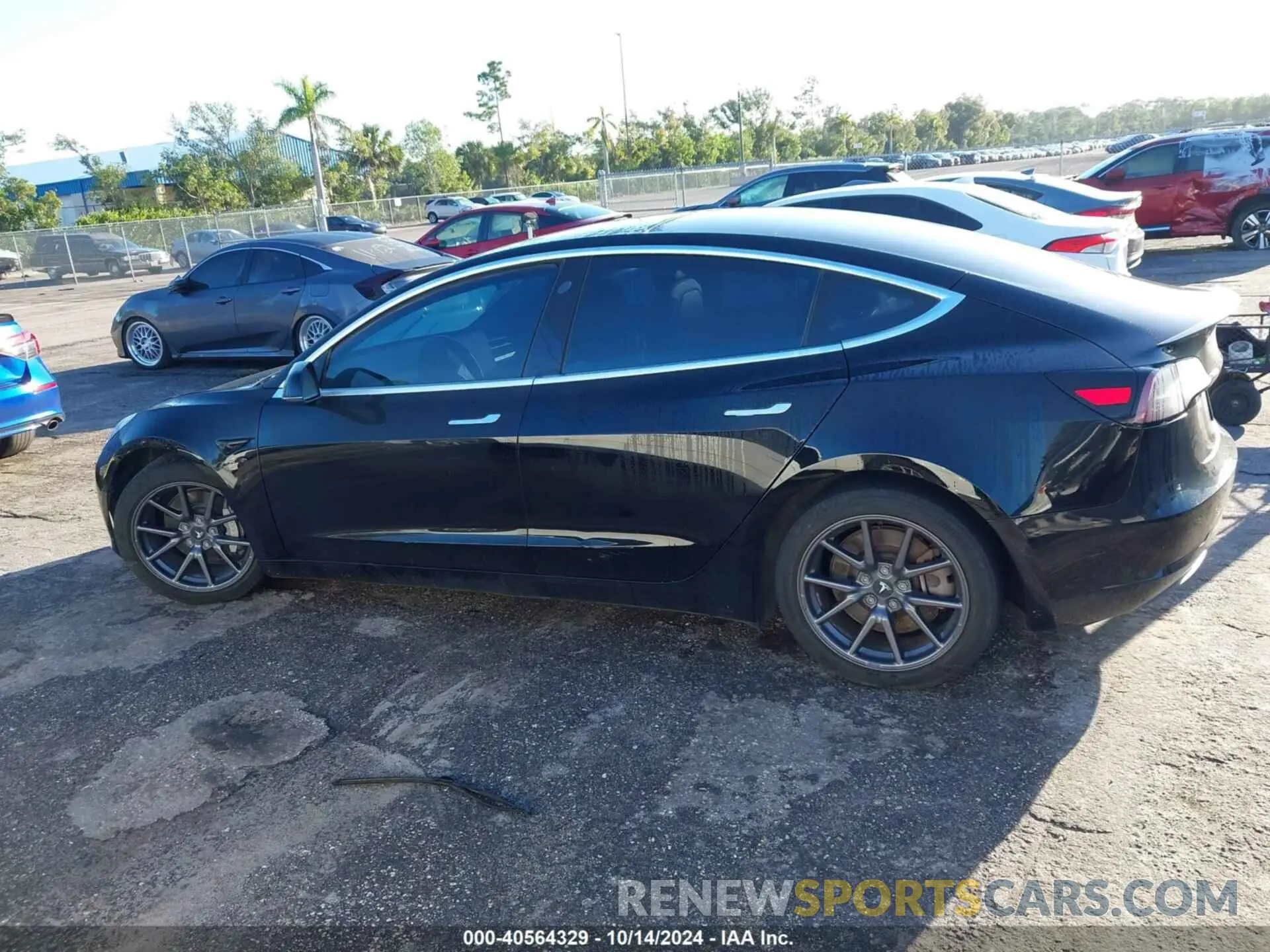 13 Photograph of a damaged car 5YJ3E1EAXKF325409 TESLA MODEL 3 2019