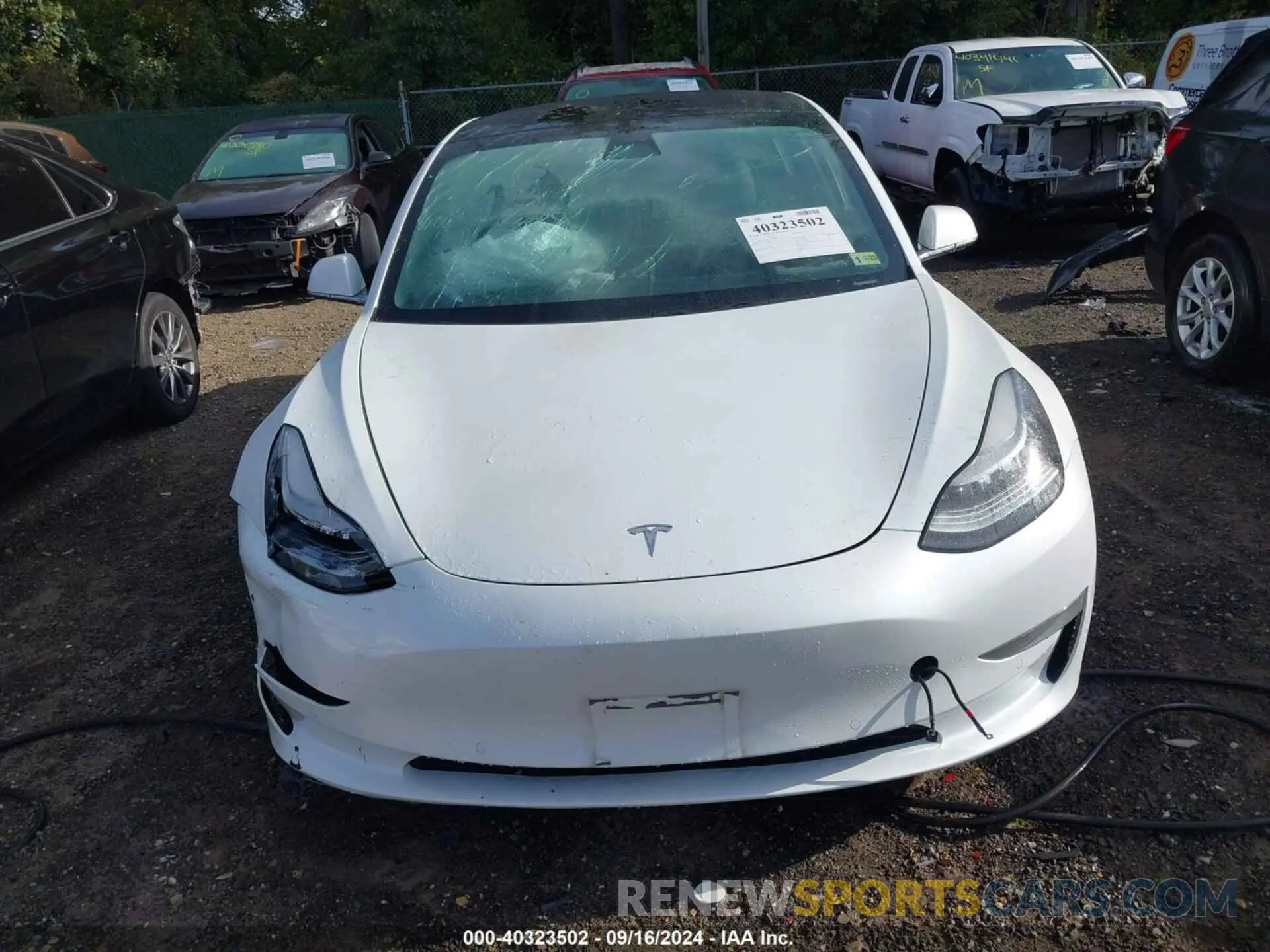11 Photograph of a damaged car 5YJ3E1EB1KF359599 TESLA MODEL 3 2019