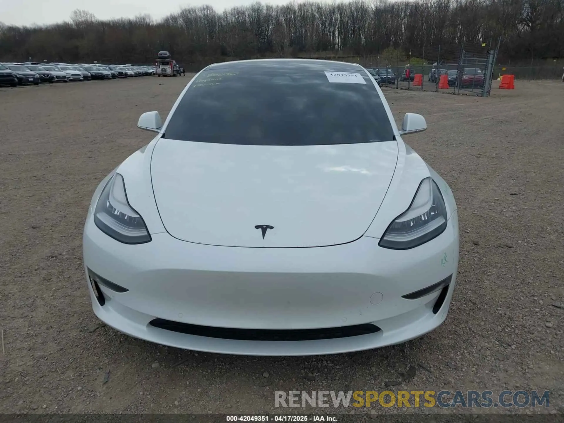 13 Photograph of a damaged car 5YJ3E1EB1KF388052 TESLA MODEL 3 2019