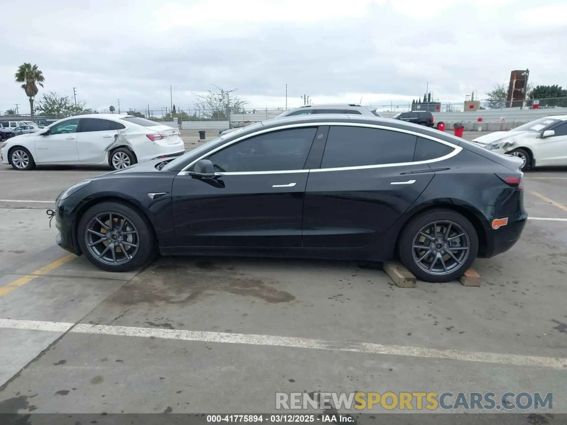 13 Photograph of a damaged car 5YJ3E1EB2KF451692 TESLA MODEL 3 2019