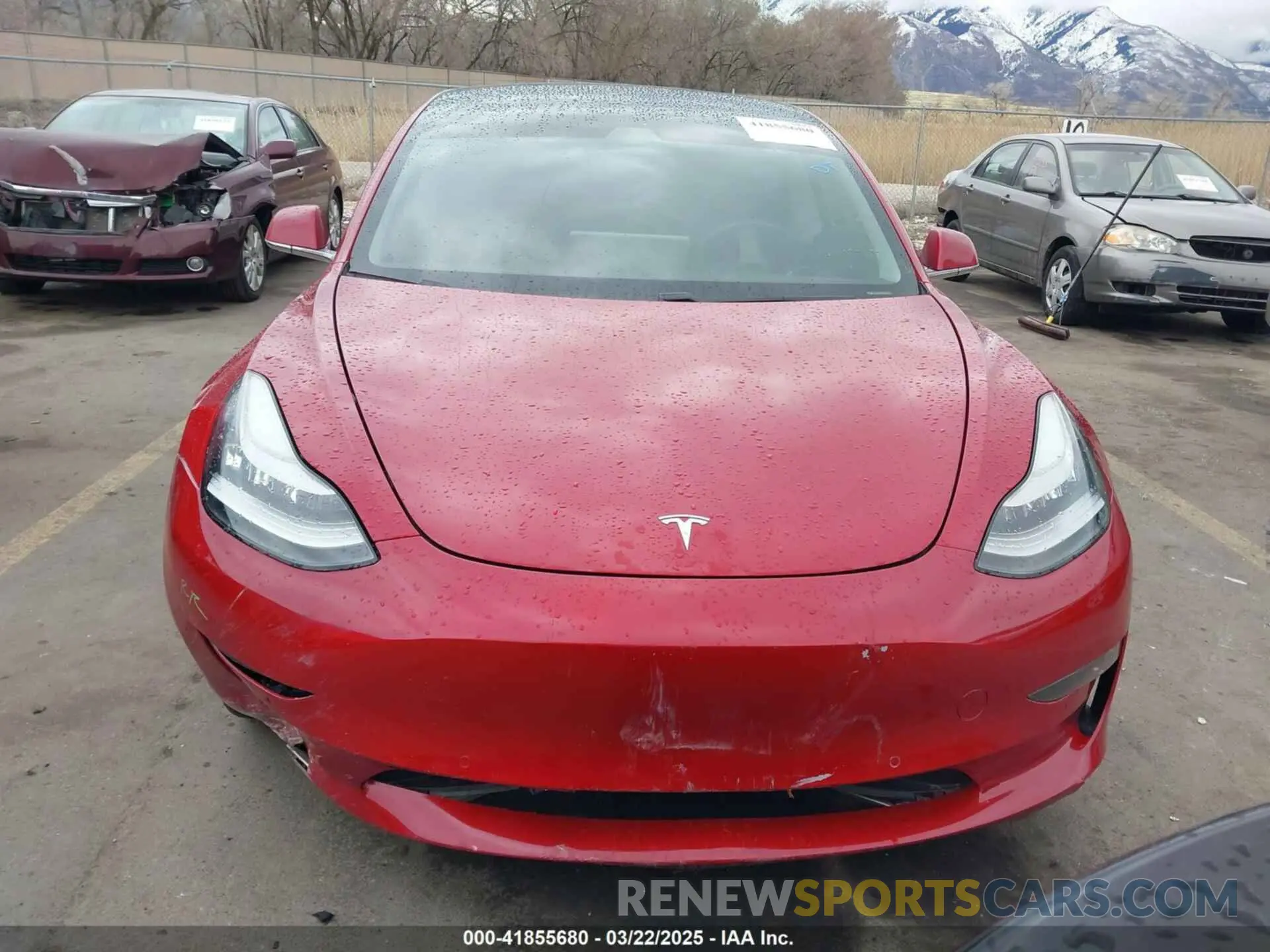 12 Photograph of a damaged car 5YJ3E1EB2KF452406 TESLA MODEL 3 2019