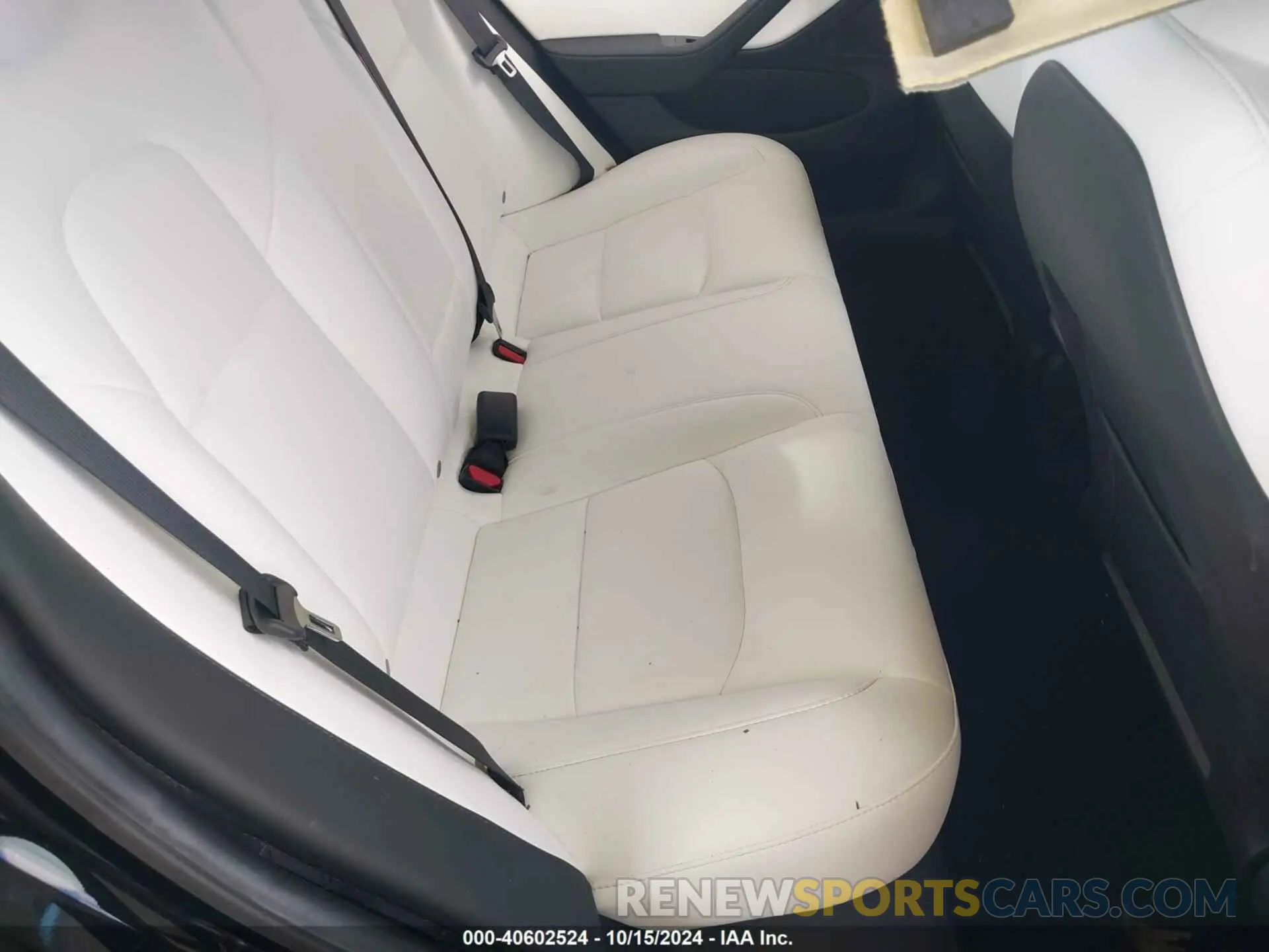 8 Photograph of a damaged car 5YJ3E1EB2KF455015 TESLA MODEL 3 2019