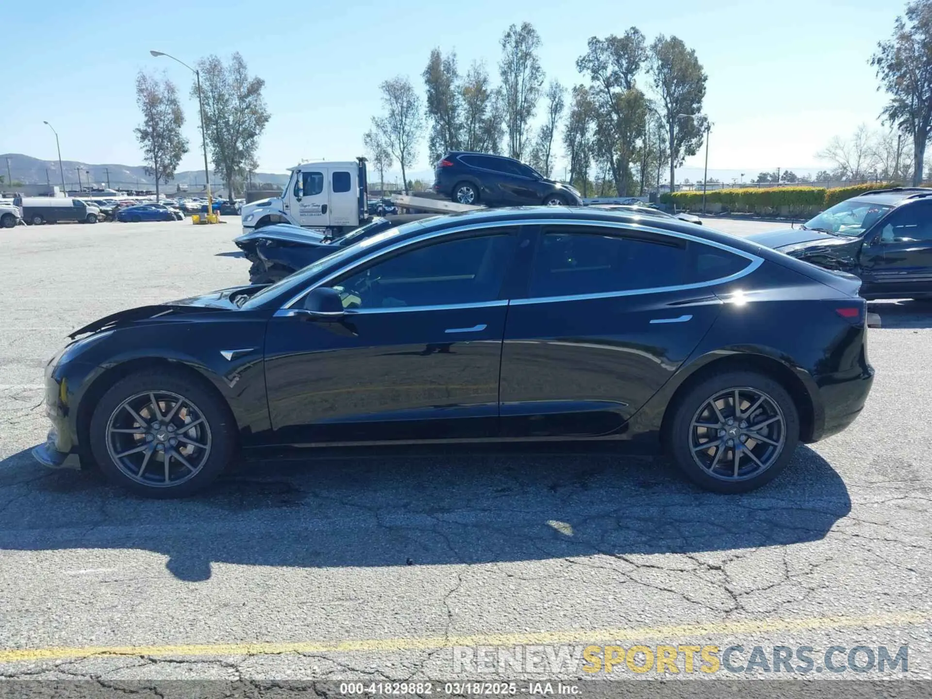 14 Photograph of a damaged car 5YJ3E1EB3KF384598 TESLA MODEL 3 2019