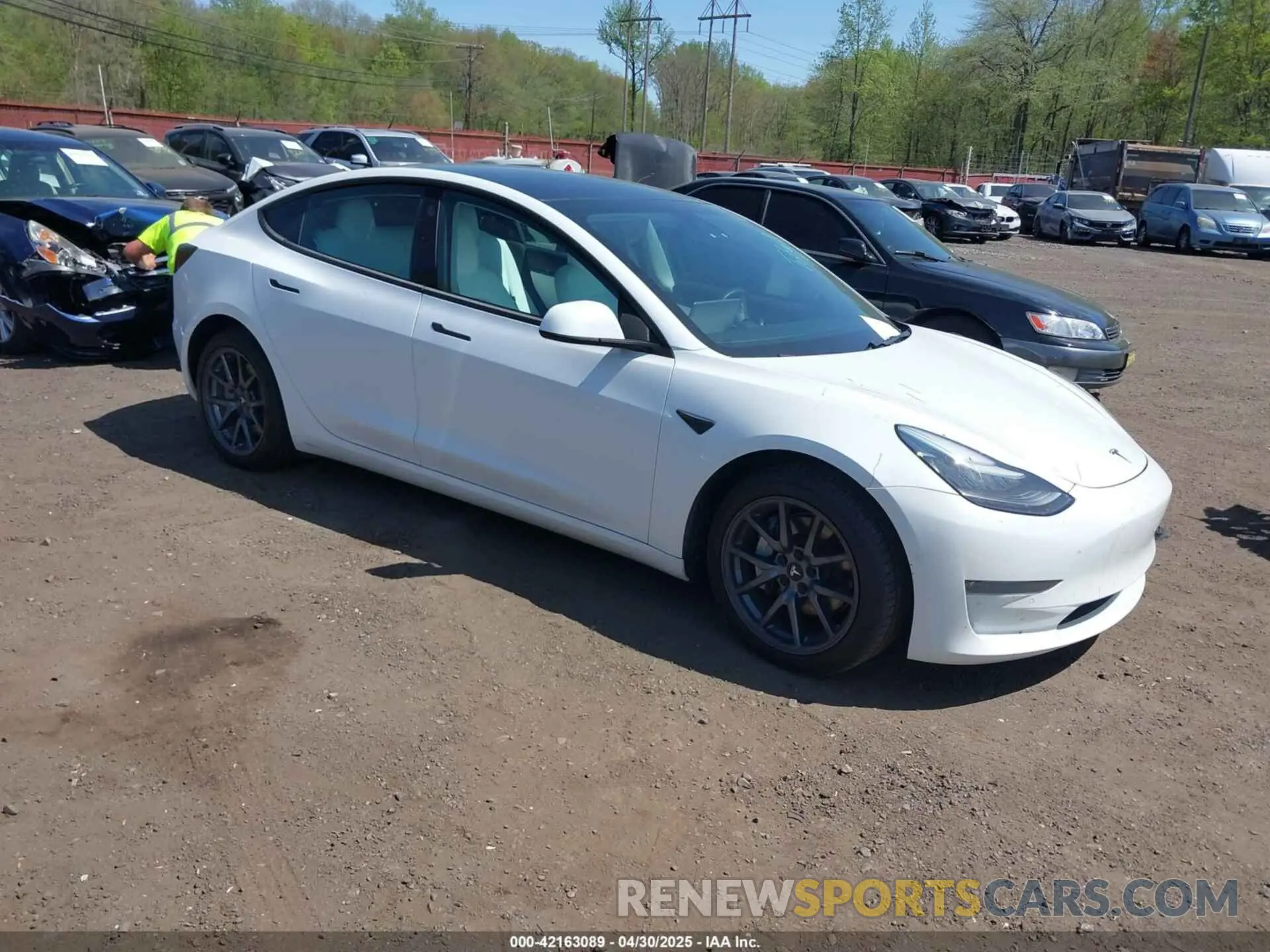 1 Photograph of a damaged car 5YJ3E1EB3KF450602 TESLA MODEL 3 2019