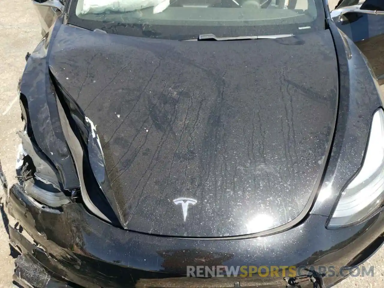 7 Photograph of a damaged car 5YJ3E1EB4KF210510 TESLA MODEL 3 2019