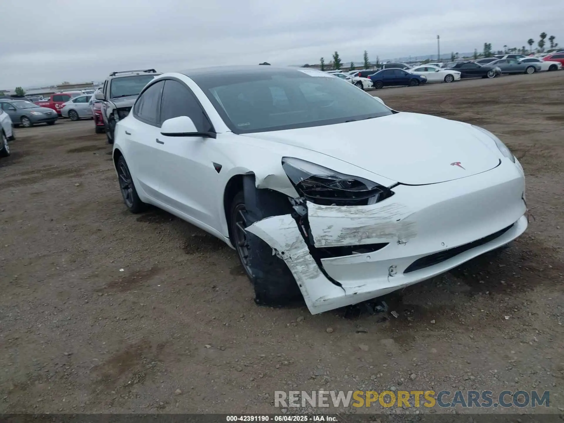 1 Photograph of a damaged car 5YJ3E1EB4KF359595 TESLA MODEL 3 2019