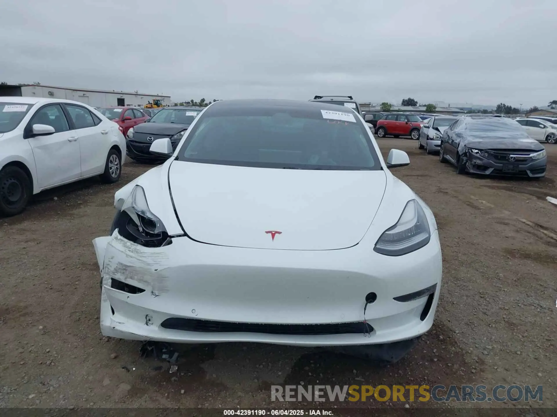 12 Photograph of a damaged car 5YJ3E1EB4KF359595 TESLA MODEL 3 2019