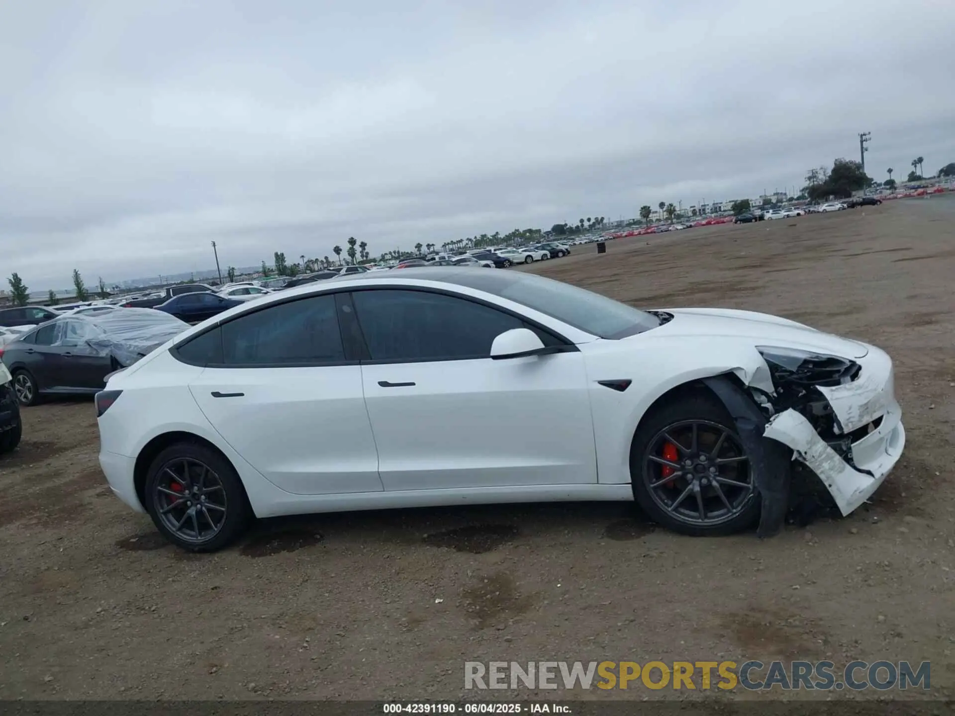 13 Photograph of a damaged car 5YJ3E1EB4KF359595 TESLA MODEL 3 2019