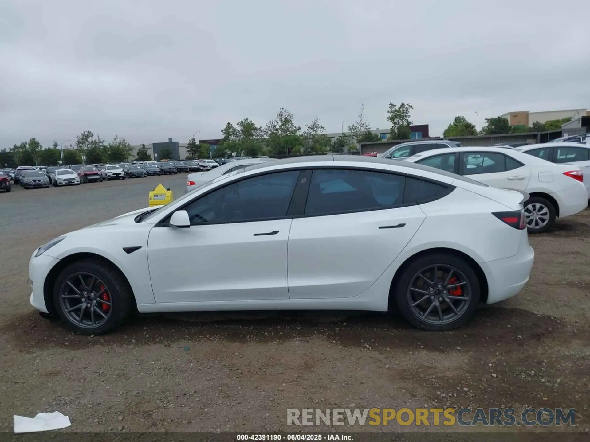 14 Photograph of a damaged car 5YJ3E1EB4KF359595 TESLA MODEL 3 2019