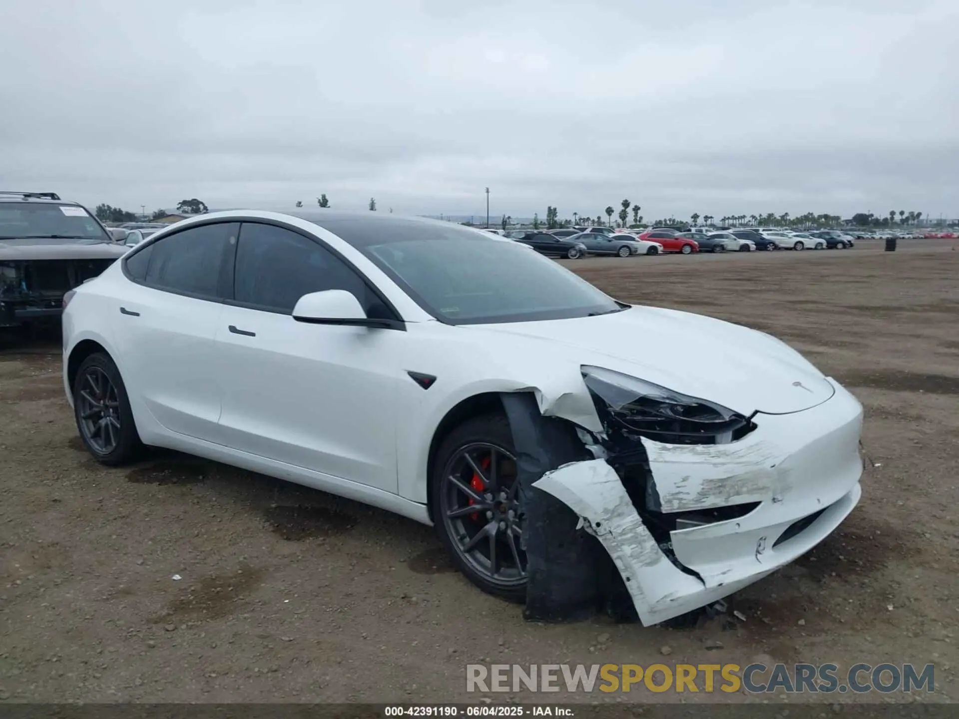 6 Photograph of a damaged car 5YJ3E1EB4KF359595 TESLA MODEL 3 2019