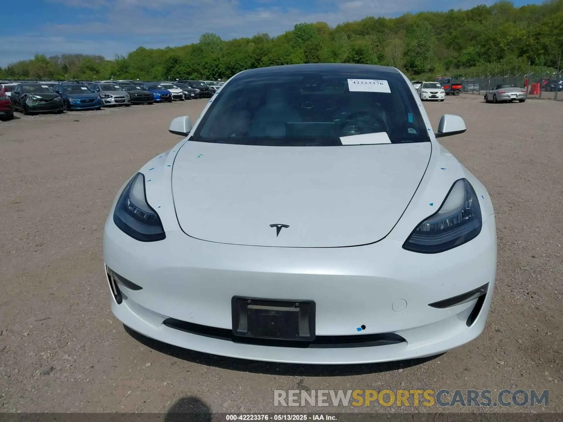 12 Photograph of a damaged car 5YJ3E1EB4KF517787 TESLA MODEL 3 2019