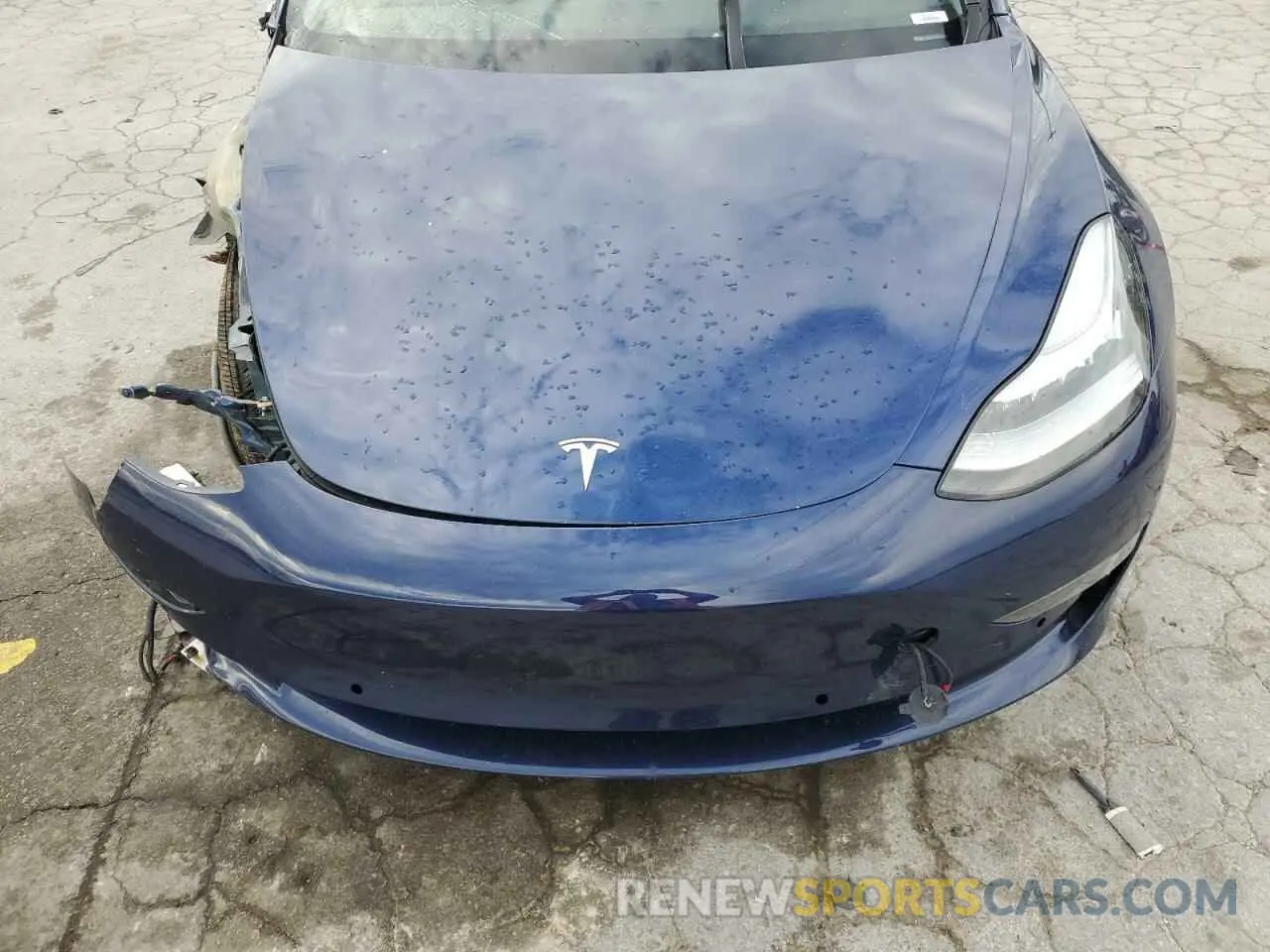 12 Photograph of a damaged car 5YJ3E1EB5KF392038 TESLA MODEL 3 2019