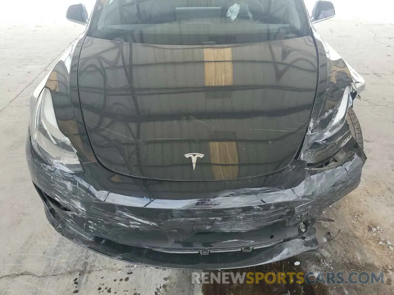 12 Photograph of a damaged car 5YJ3E1EB5KF434594 TESLA MODEL 3 2019