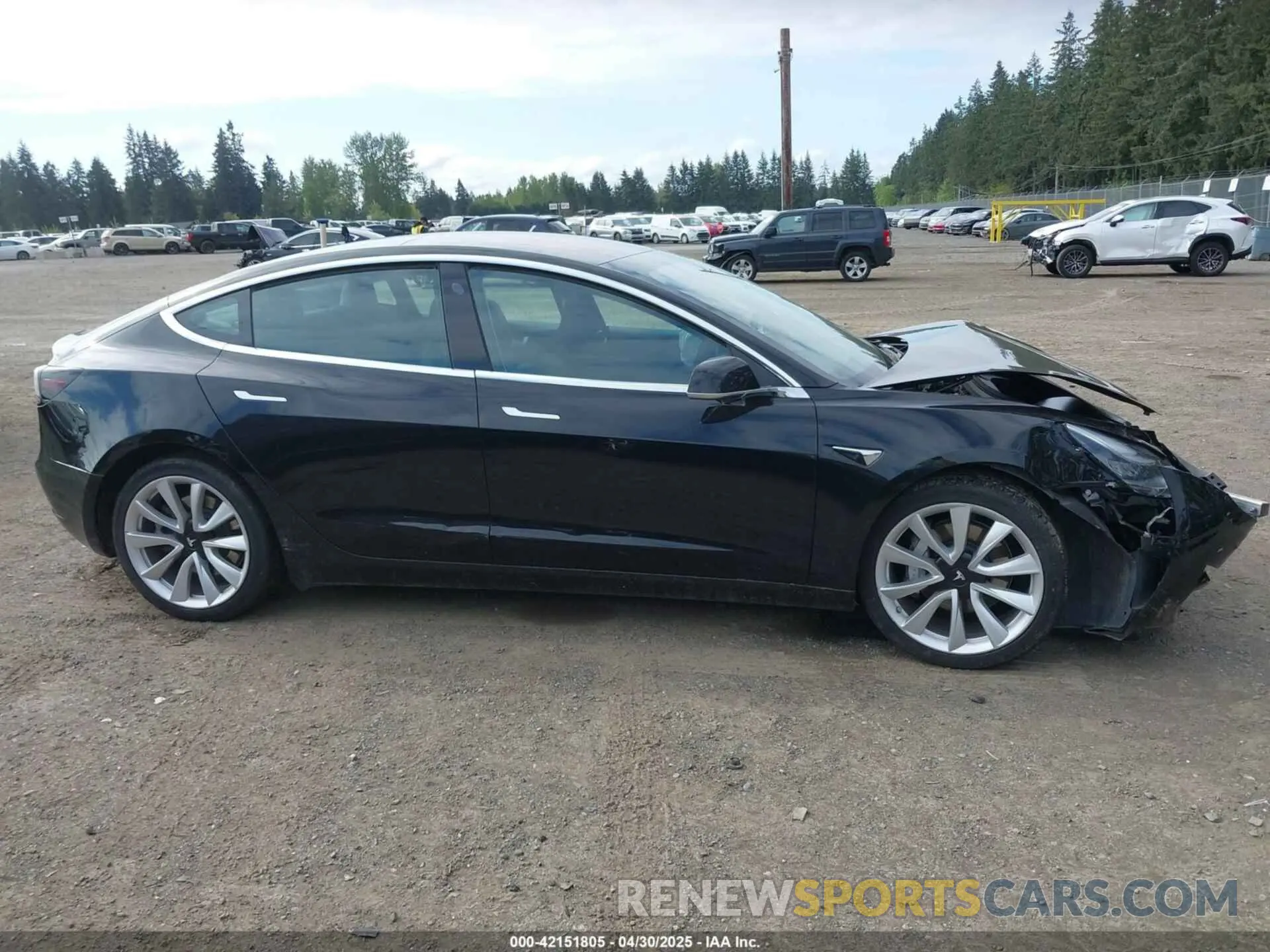 13 Photograph of a damaged car 5YJ3E1EB7KF191872 TESLA MODEL 3 2019