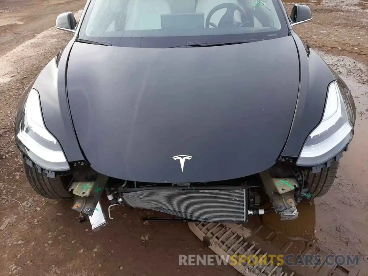 7 Photograph of a damaged car 5YJ3E1EB7KF194819 TESLA MODEL 3 2019