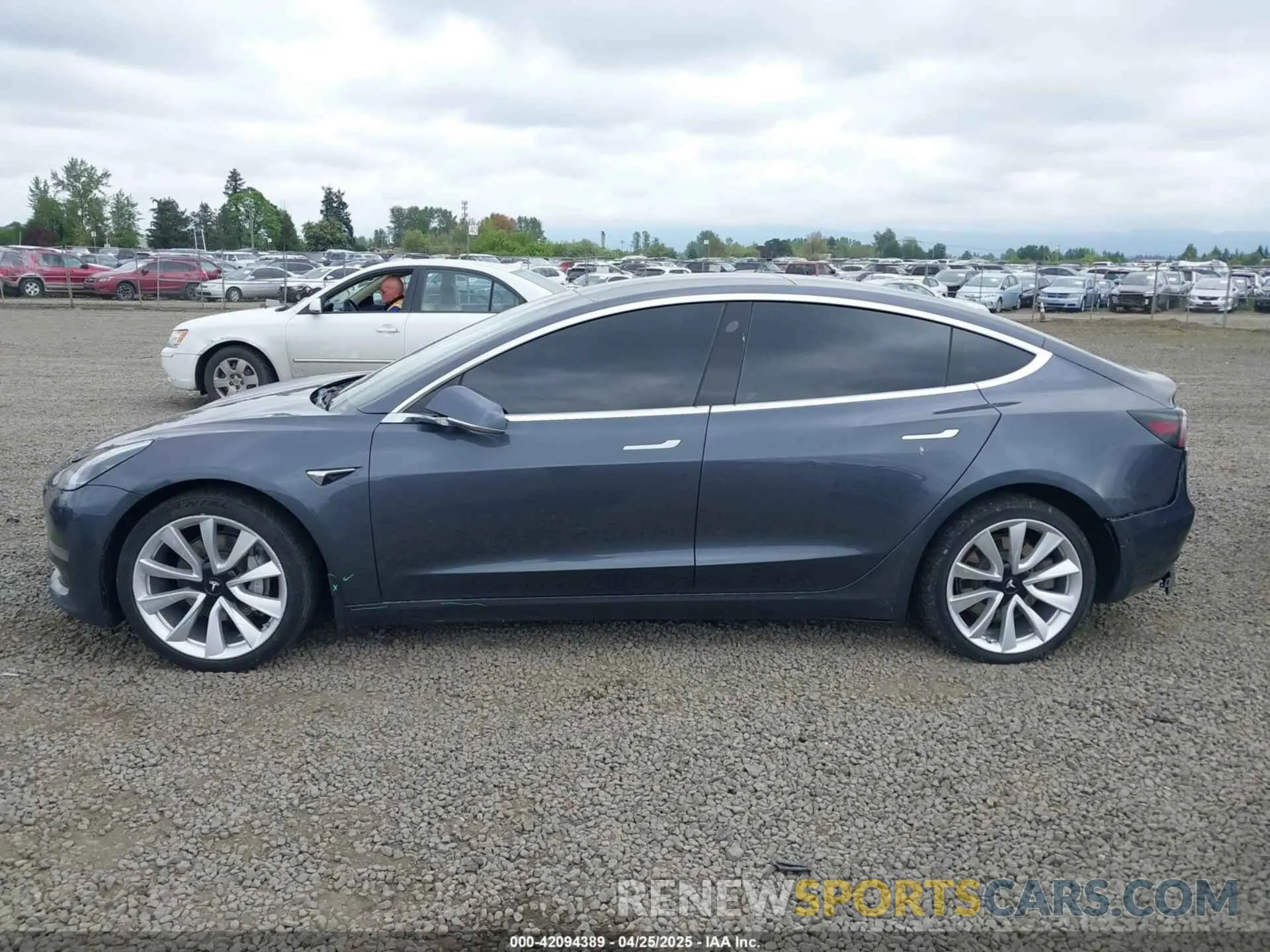 14 Photograph of a damaged car 5YJ3E1EB7KF205883 TESLA MODEL 3 2019