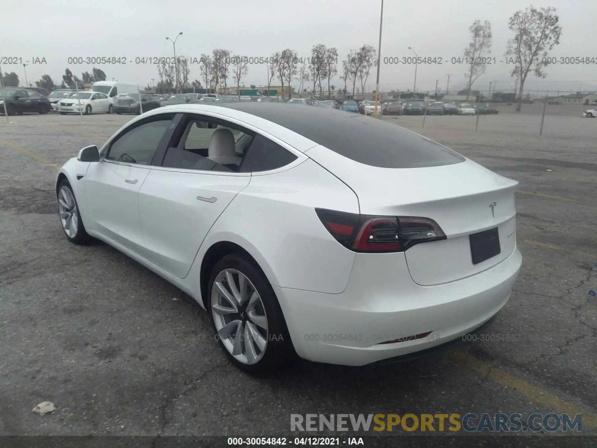 3 Photograph of a damaged car 5YJ3E1EB8KF421824 TESLA MODEL 3 2019