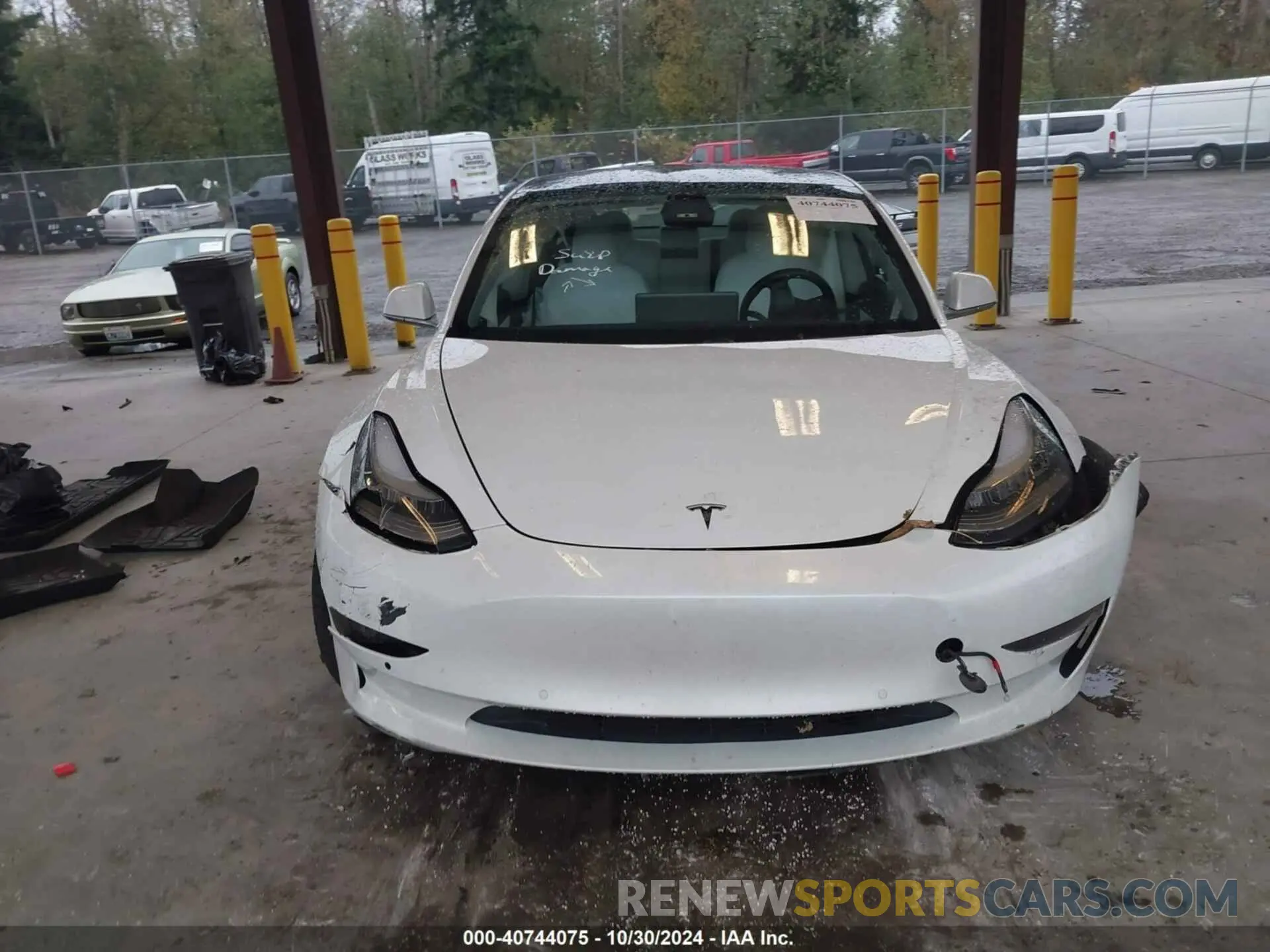 12 Photograph of a damaged car 5YJ3E1EBXKF392519 TESLA MODEL 3 2019