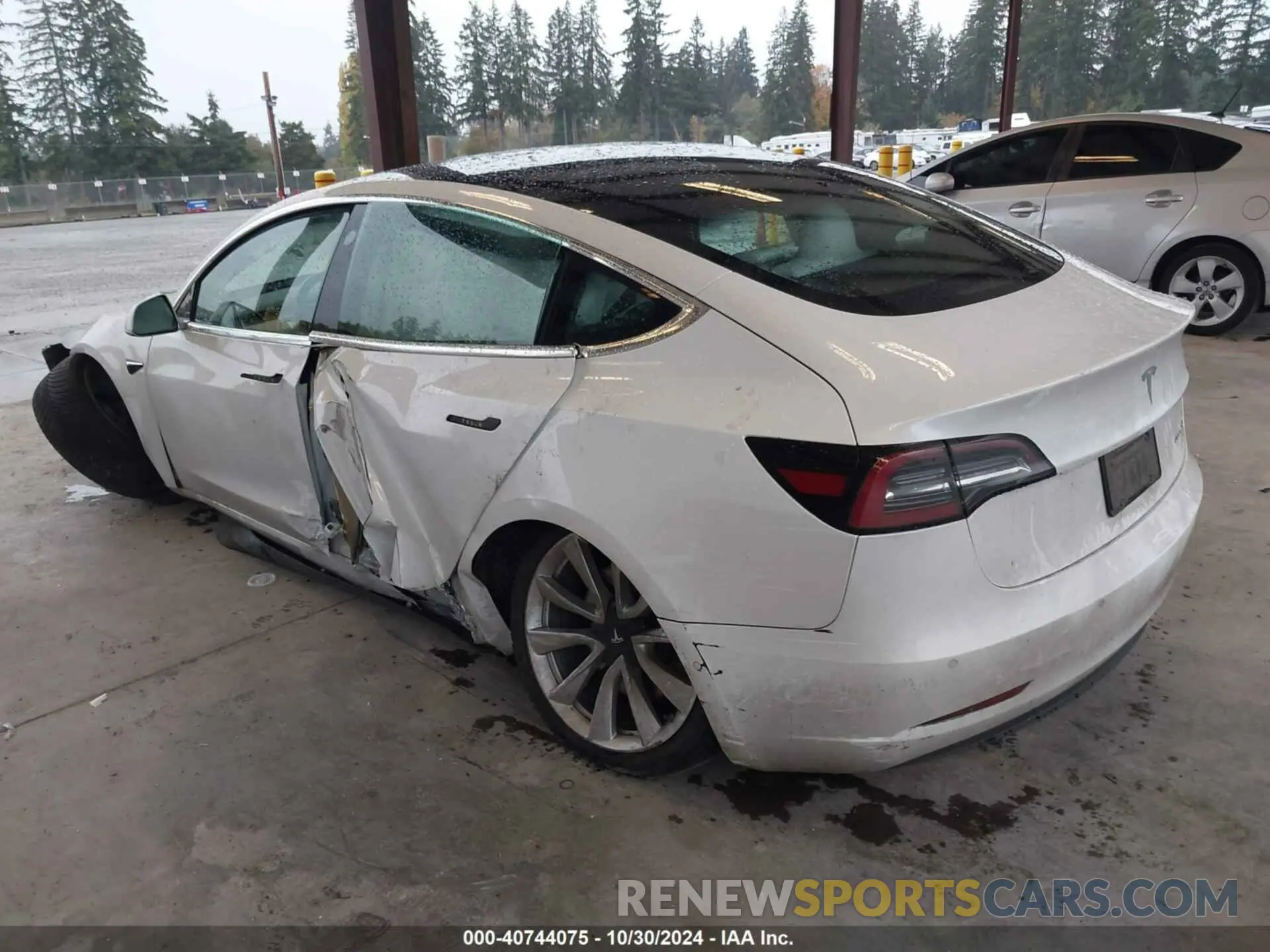 3 Photograph of a damaged car 5YJ3E1EBXKF392519 TESLA MODEL 3 2019