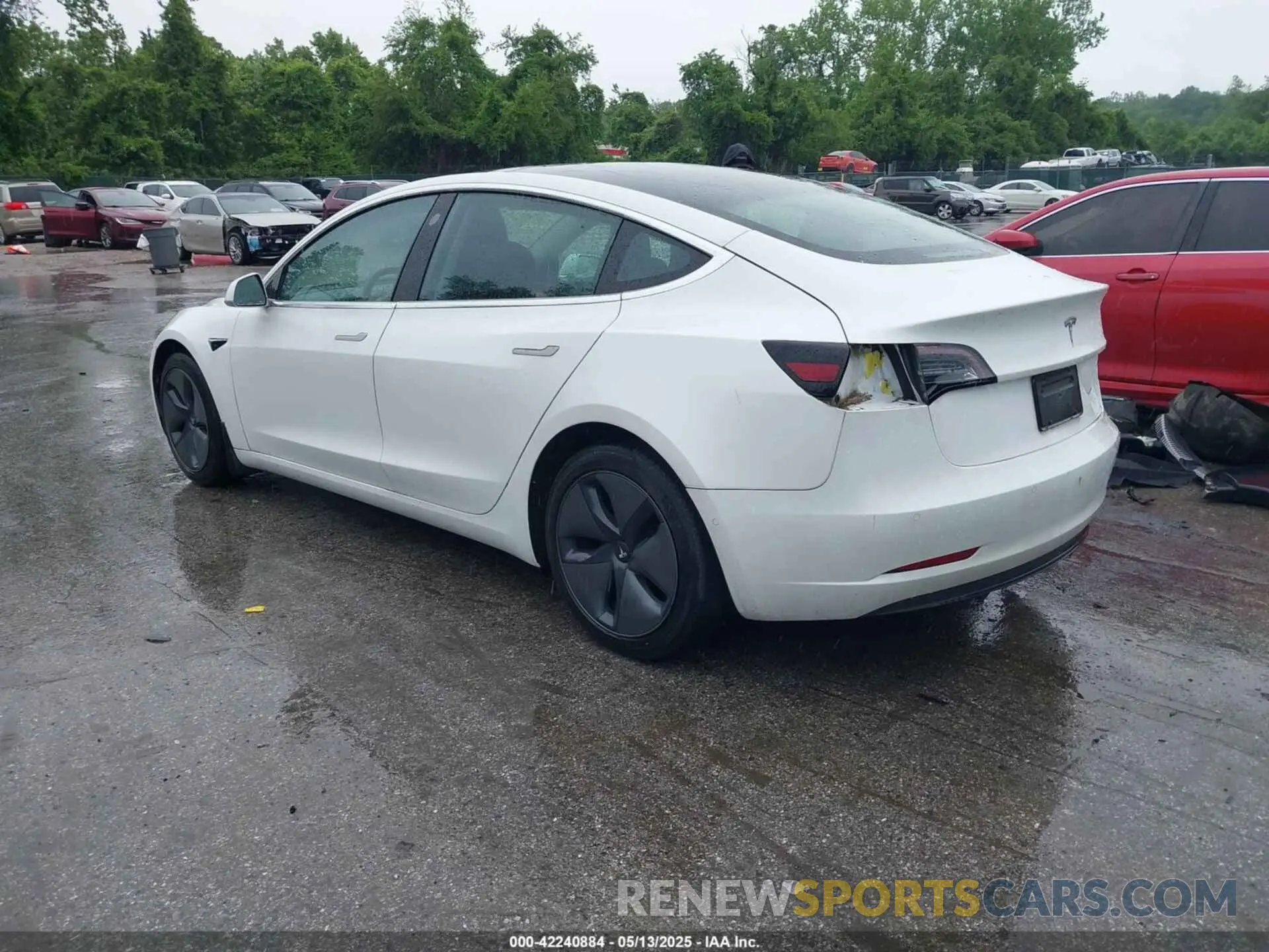 3 Photograph of a damaged car 5YJ3E1EBXKF442335 TESLA MODEL 3 2019