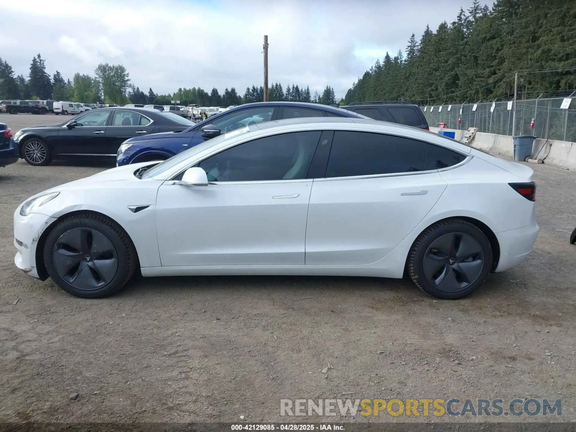 15 Photograph of a damaged car 5YJ3E1EA5LF613002 TESLA MODEL 3 2020