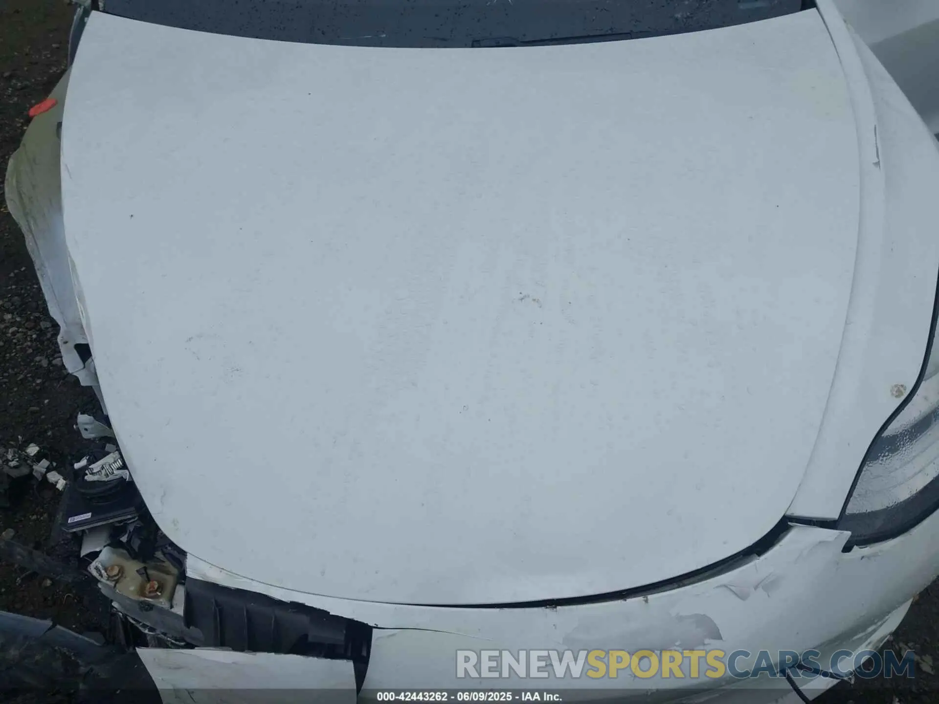 10 Photograph of a damaged car 5YJ3E1EA7LF645286 TESLA MODEL 3 2020