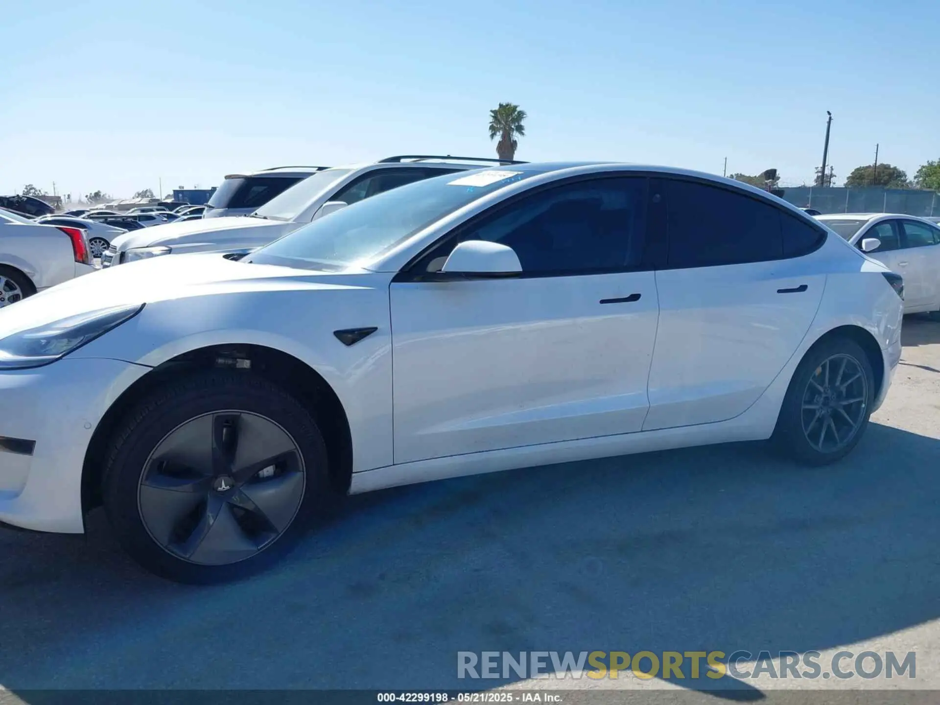 13 Photograph of a damaged car 5YJ3E1EA9LF632443 TESLA MODEL 3 2020