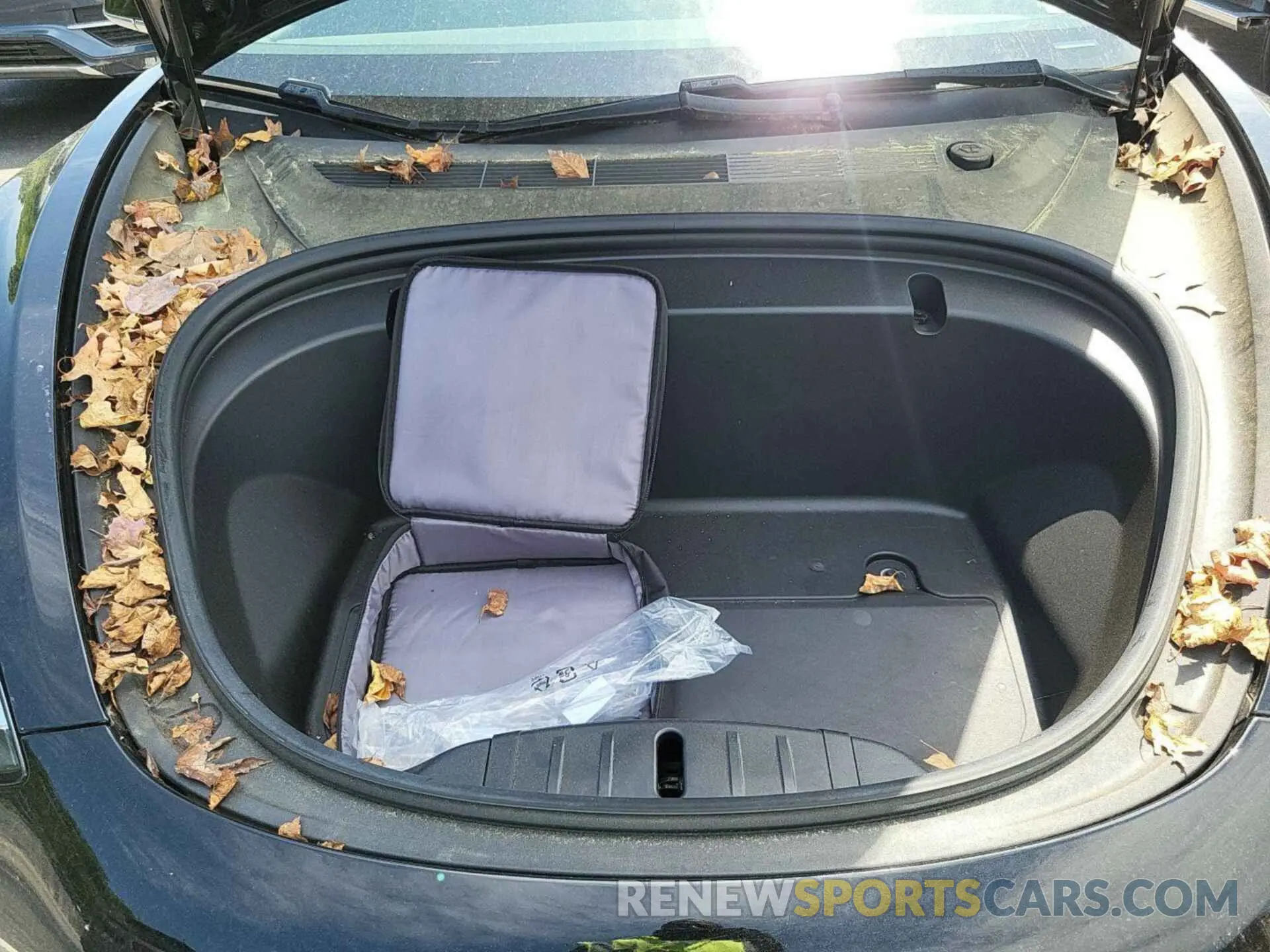 19 Photograph of a damaged car 5YJ3E1EB3LF600614 TESLA MODEL 3 2020