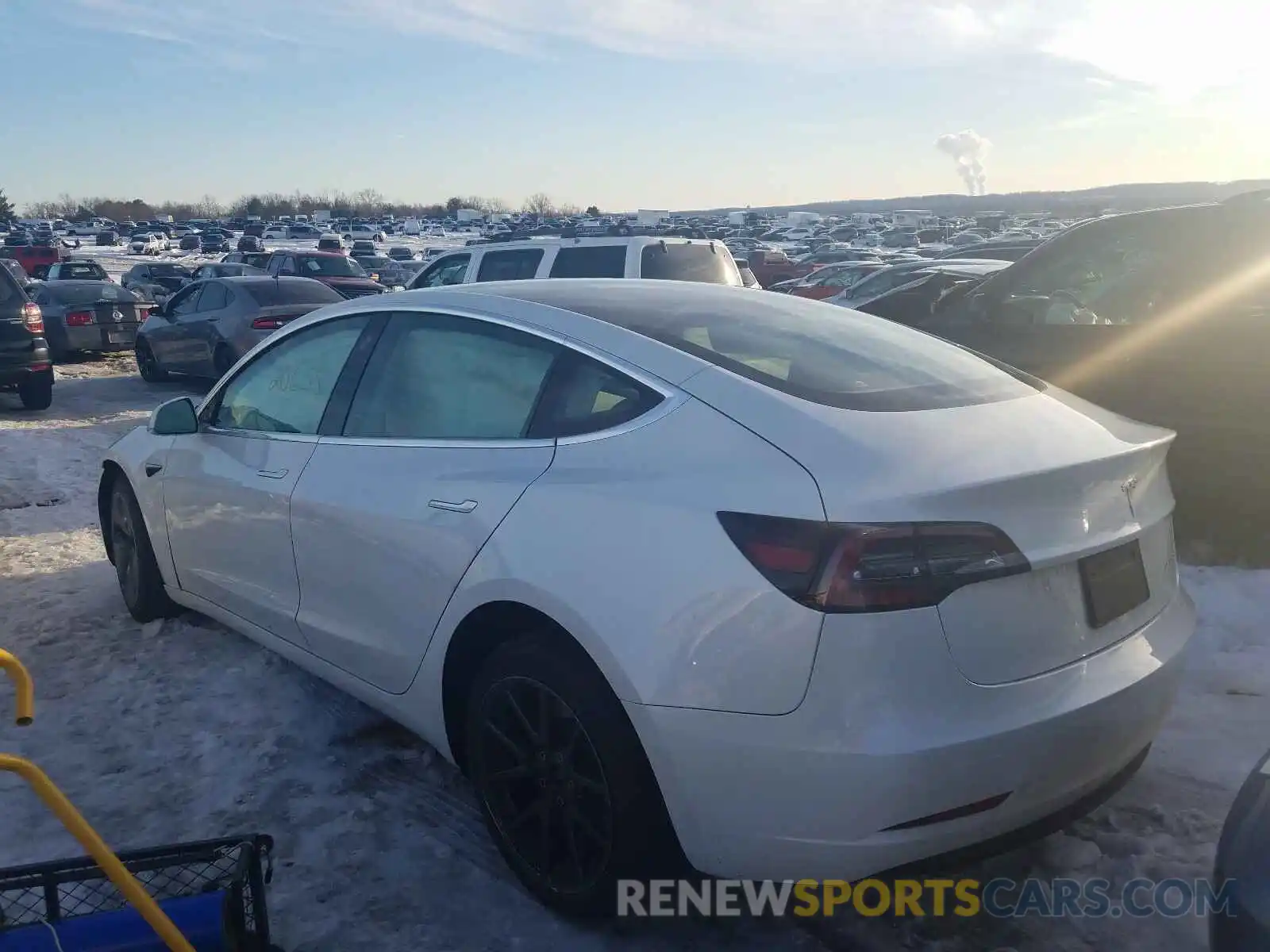 3 Photograph of a damaged car 5YJ3E1EB7LF790692 TESLA MODEL 3 2020