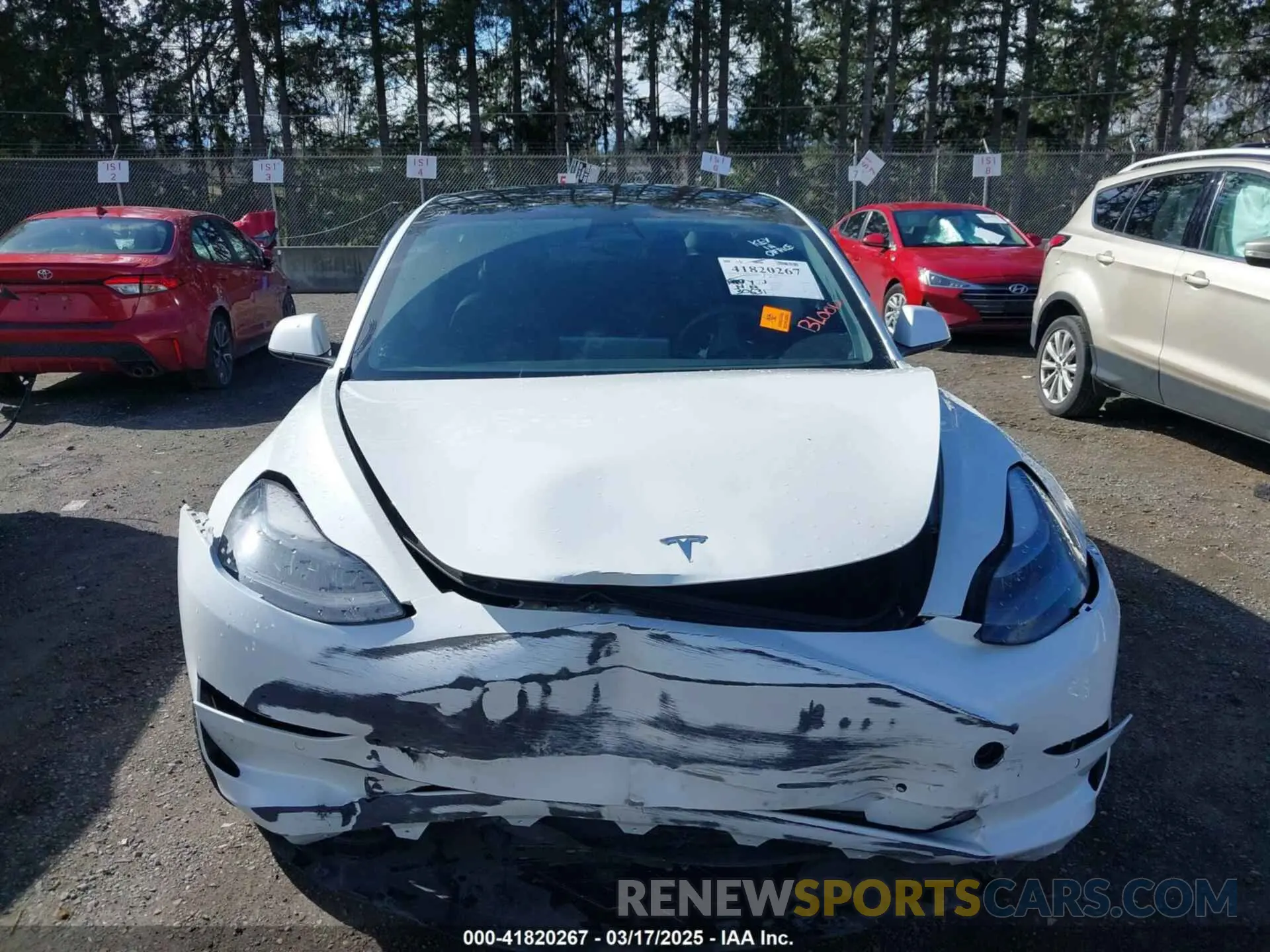 12 Photograph of a damaged car 5YJ3E1EA0MF062074 TESLA MODEL 3 2021