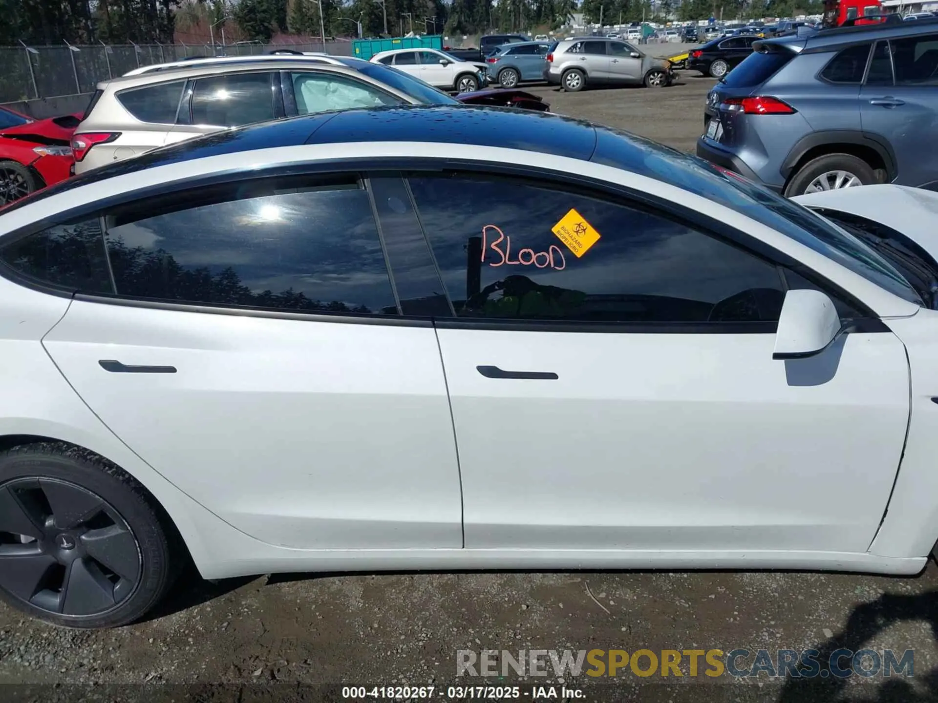 13 Photograph of a damaged car 5YJ3E1EA0MF062074 TESLA MODEL 3 2021