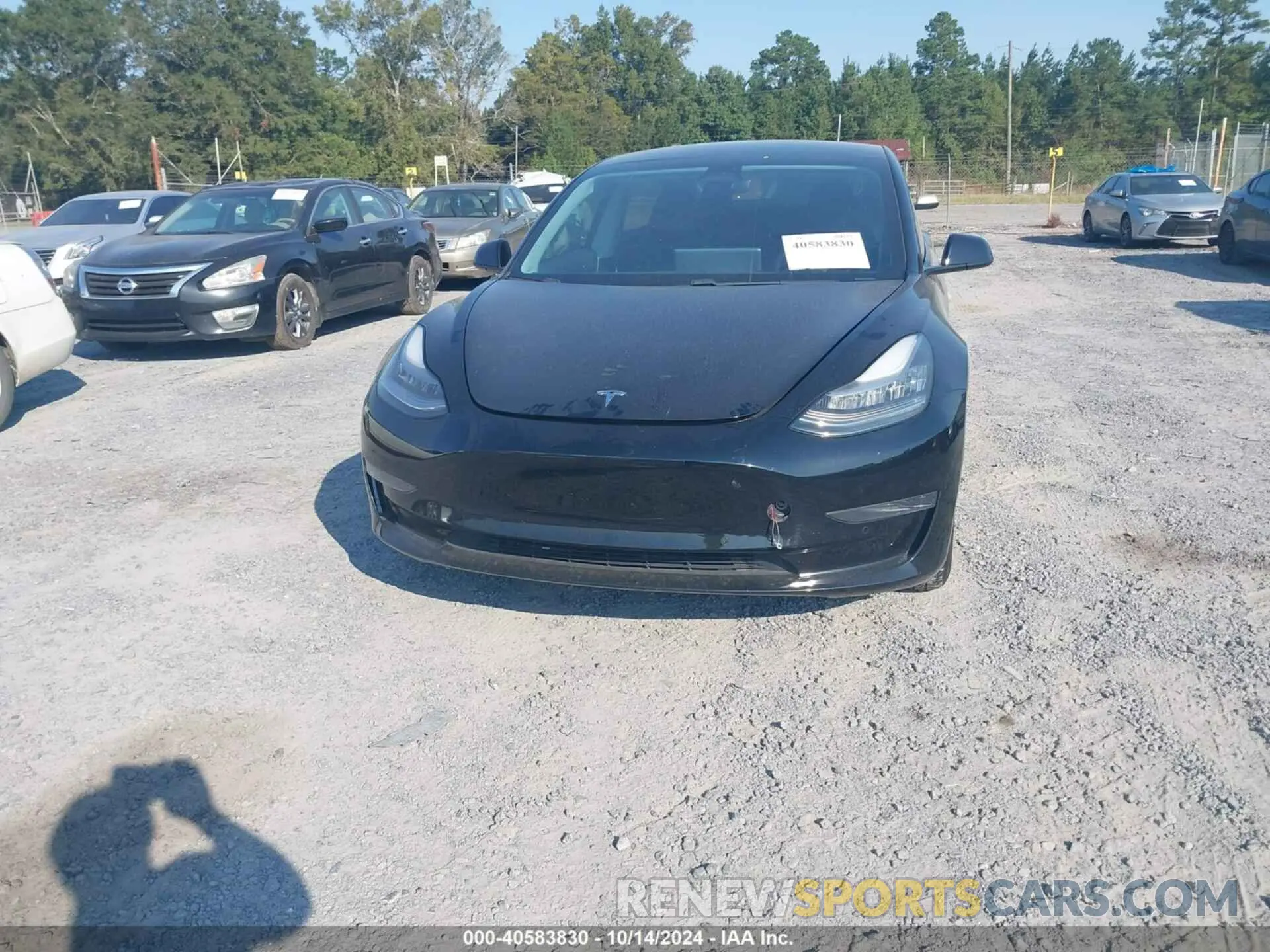 12 Photograph of a damaged car 5YJ3E1EA0MF853950 TESLA MODEL 3 2021