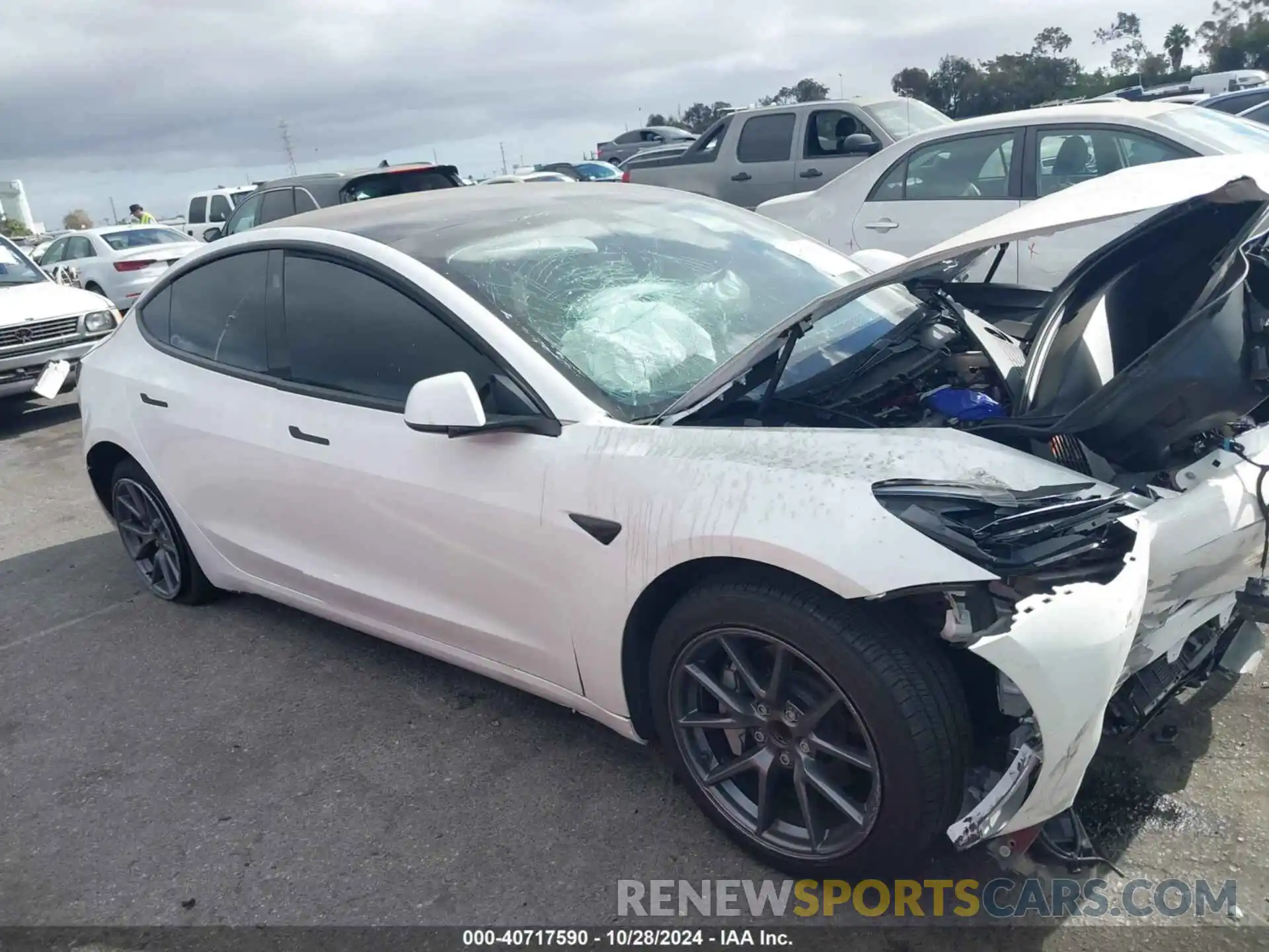 12 Photograph of a damaged car 5YJ3E1EA0MF940540 TESLA MODEL 3 2021