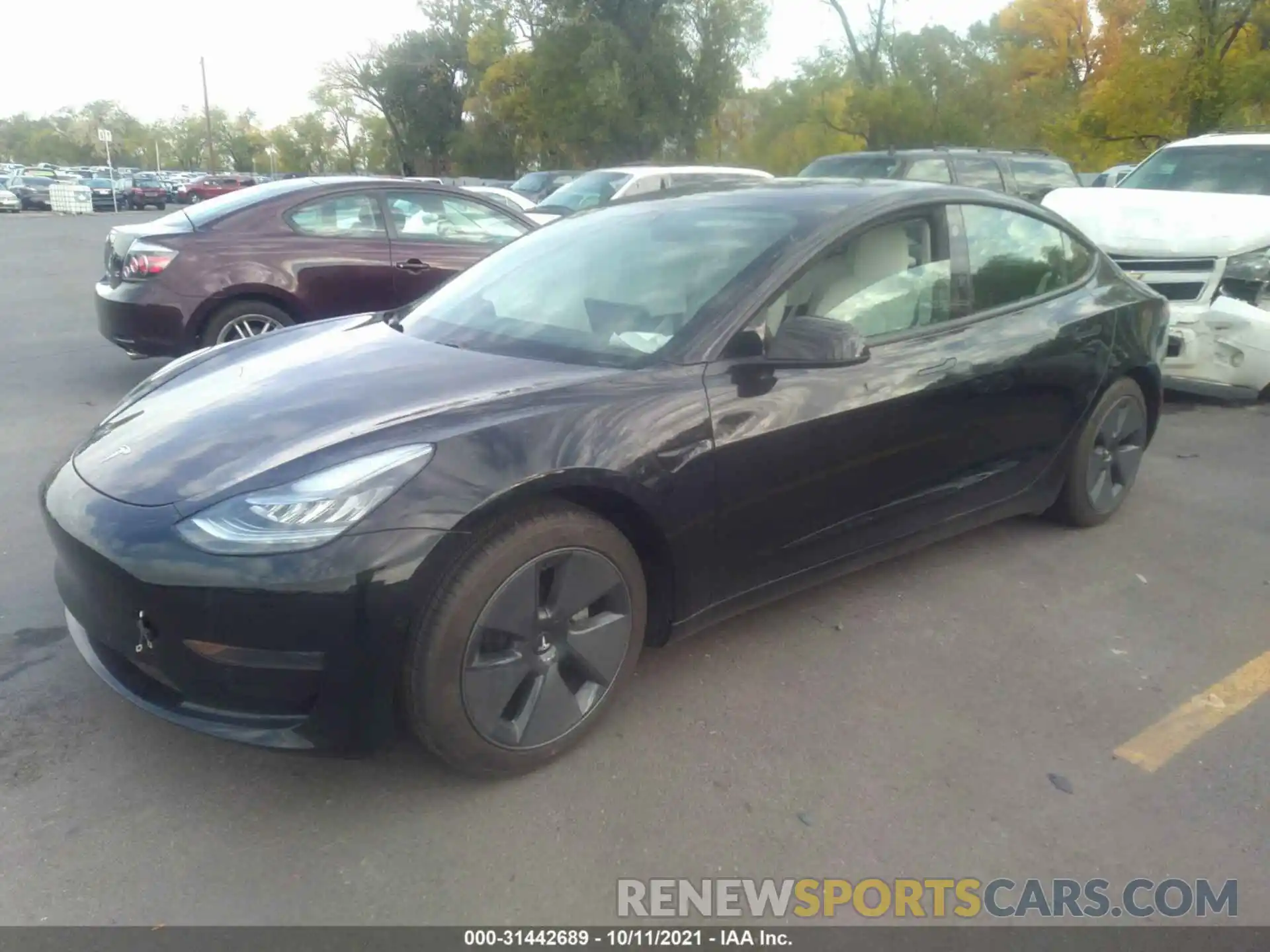 2 Photograph of a damaged car 5YJ3E1EA1MF860020 TESLA MODEL 3 2021