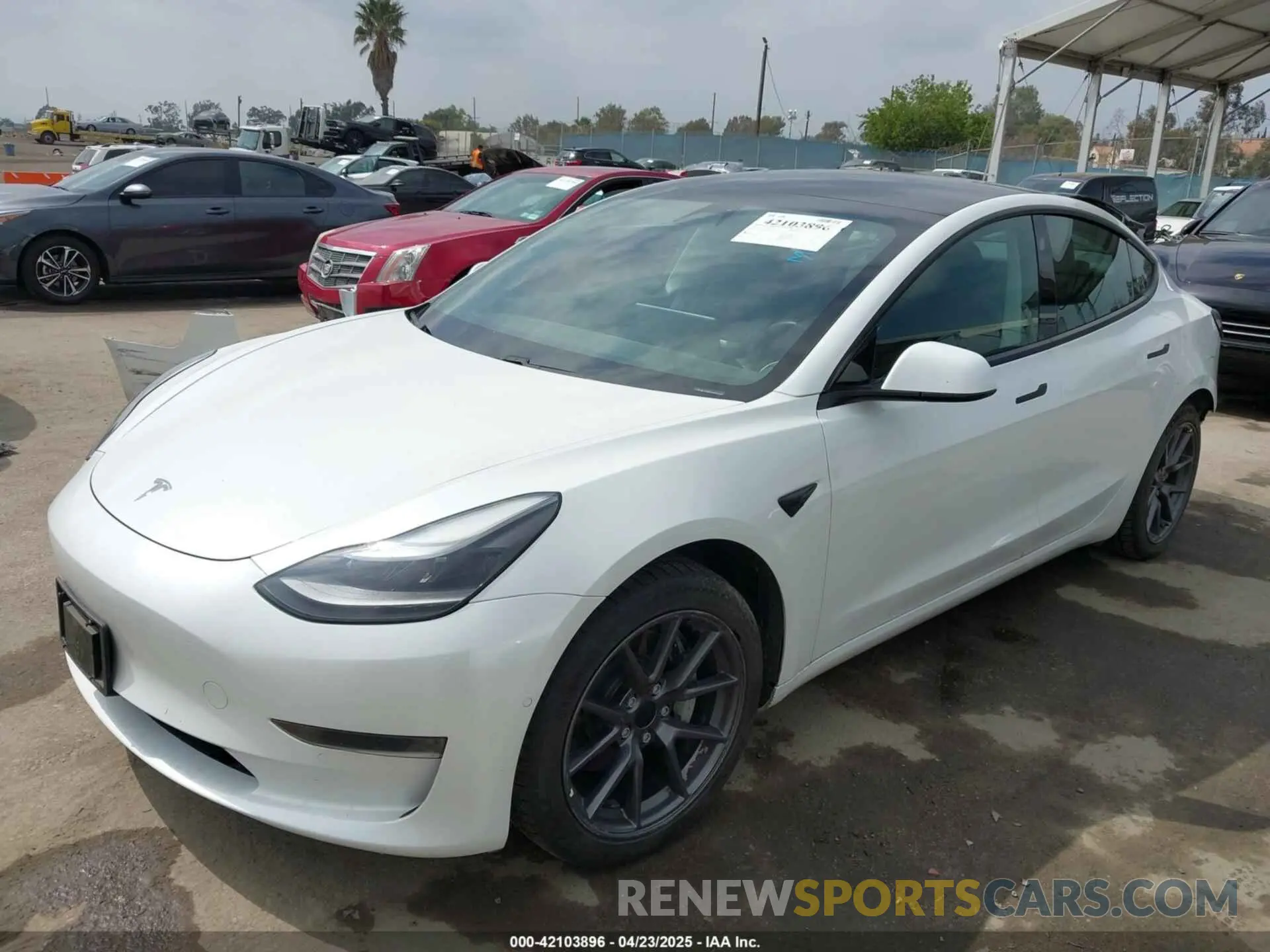 2 Photograph of a damaged car 5YJ3E1EA3MF054115 TESLA MODEL 3 2021