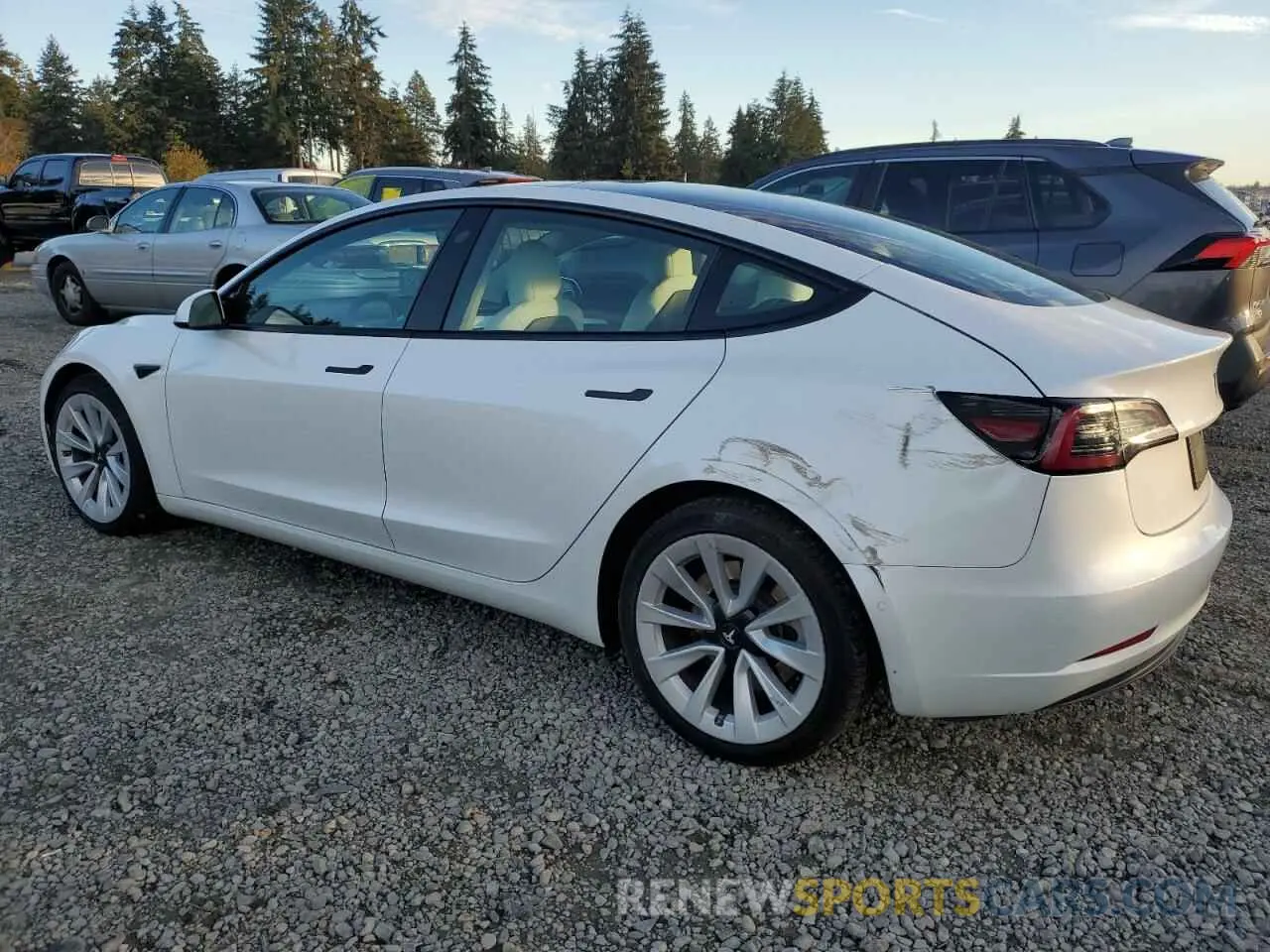 2 Photograph of a damaged car 5YJ3E1EA3MF099944 TESLA MODEL 3 2021