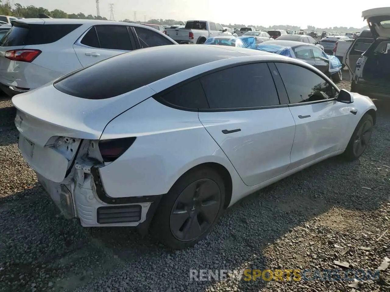 3 Photograph of a damaged car 5YJ3E1EA3MF855031 TESLA MODEL 3 2021