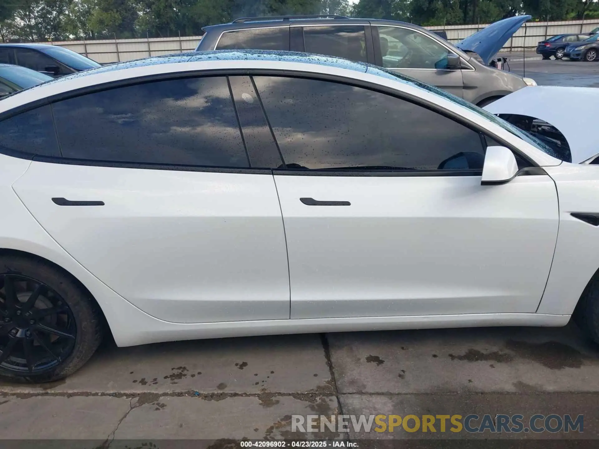13 Photograph of a damaged car 5YJ3E1EA3MF874212 TESLA MODEL 3 2021