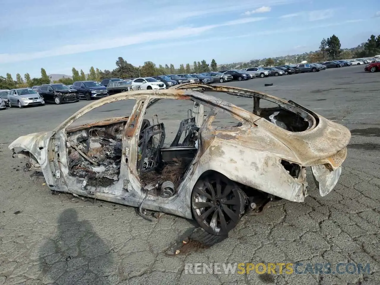 2 Photograph of a damaged car 5YJ3E1EA4MF075216 TESLA MODEL 3 2021