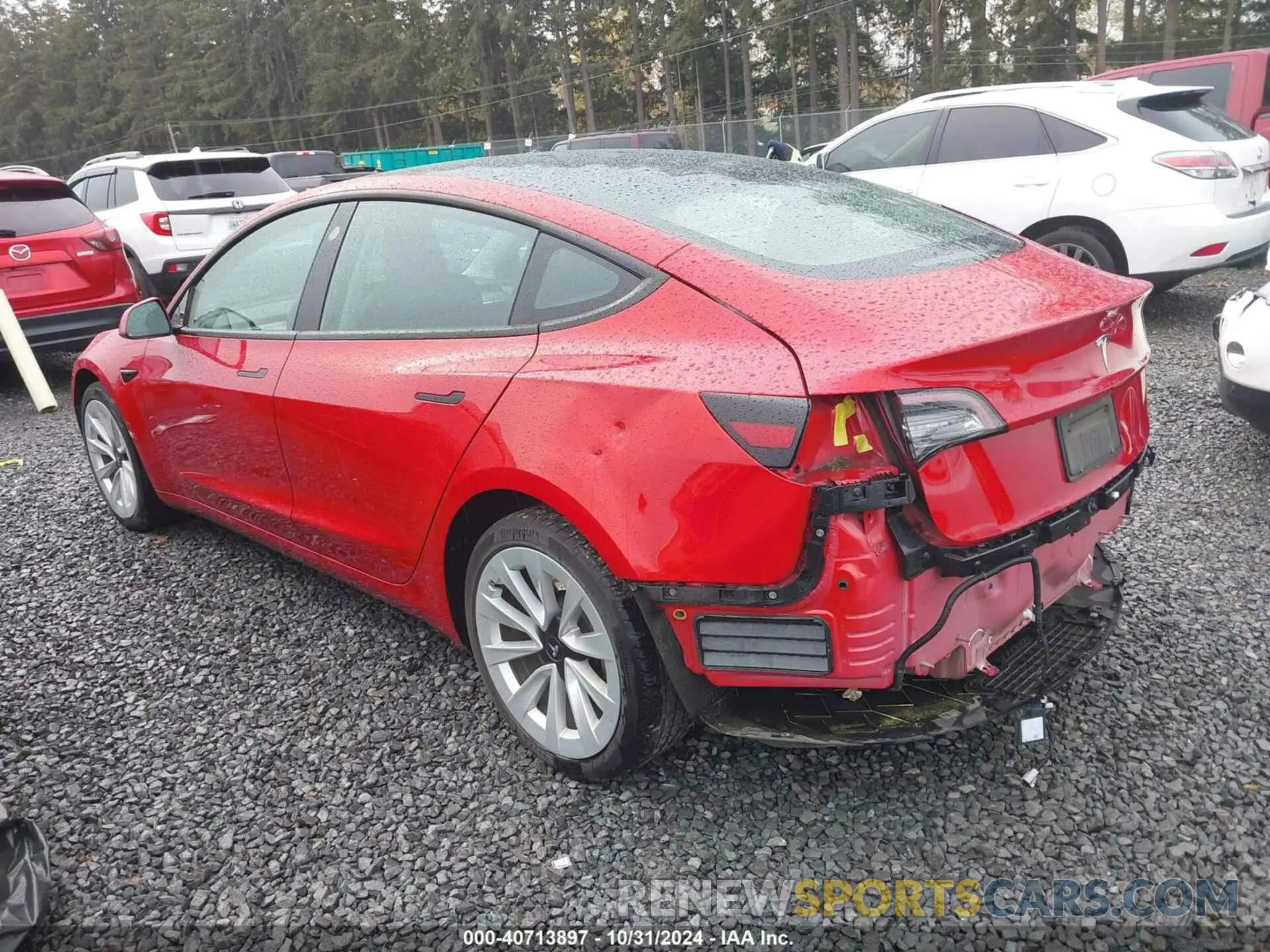 3 Photograph of a damaged car 5YJ3E1EA5MF054262 TESLA MODEL 3 2021