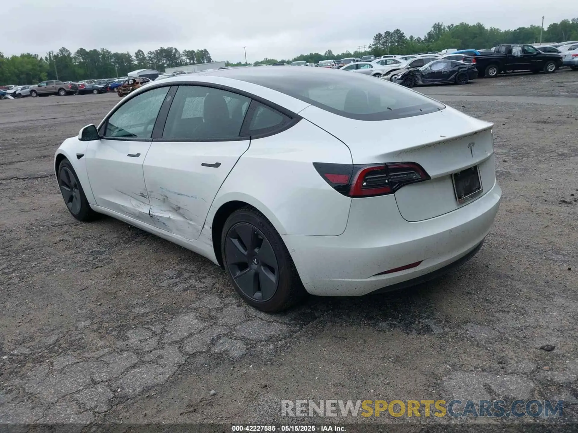 3 Photograph of a damaged car 5YJ3E1EA6MF854245 TESLA MODEL 3 2021
