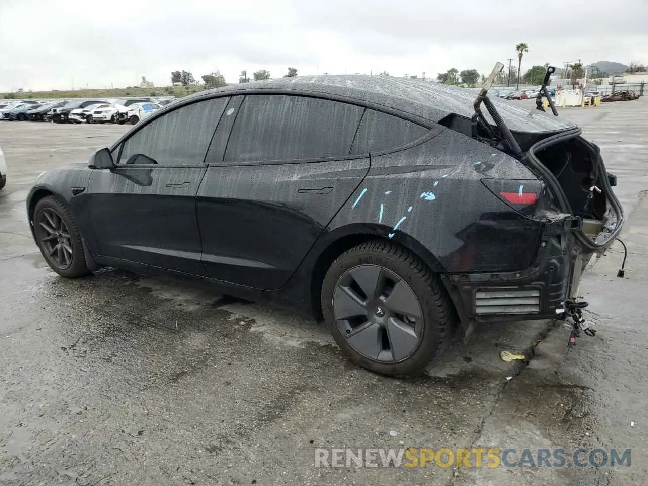 2 Photograph of a damaged car 5YJ3E1EA6MF938582 TESLA MODEL 3 2021