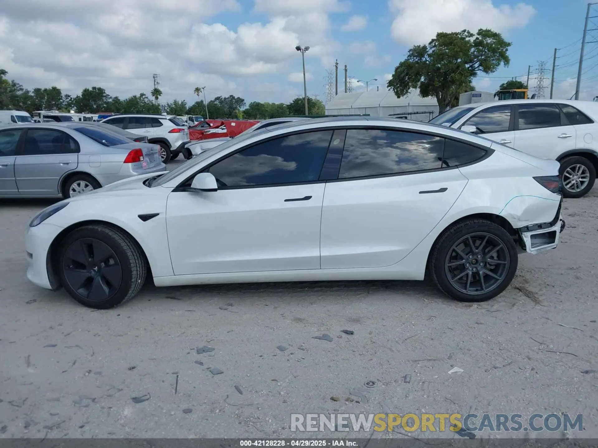 14 Photograph of a damaged car 5YJ3E1EA6MF973154 TESLA MODEL 3 2021