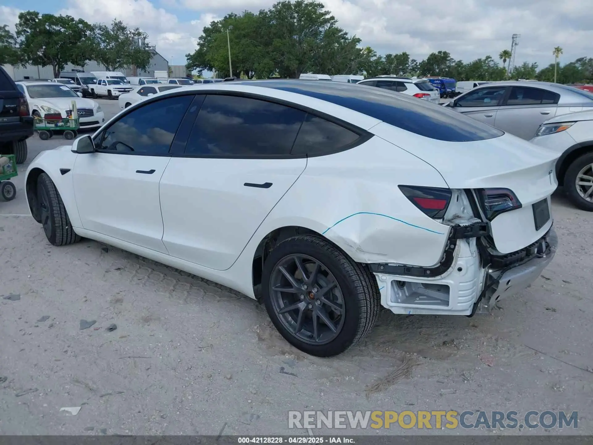 3 Photograph of a damaged car 5YJ3E1EA6MF973154 TESLA MODEL 3 2021