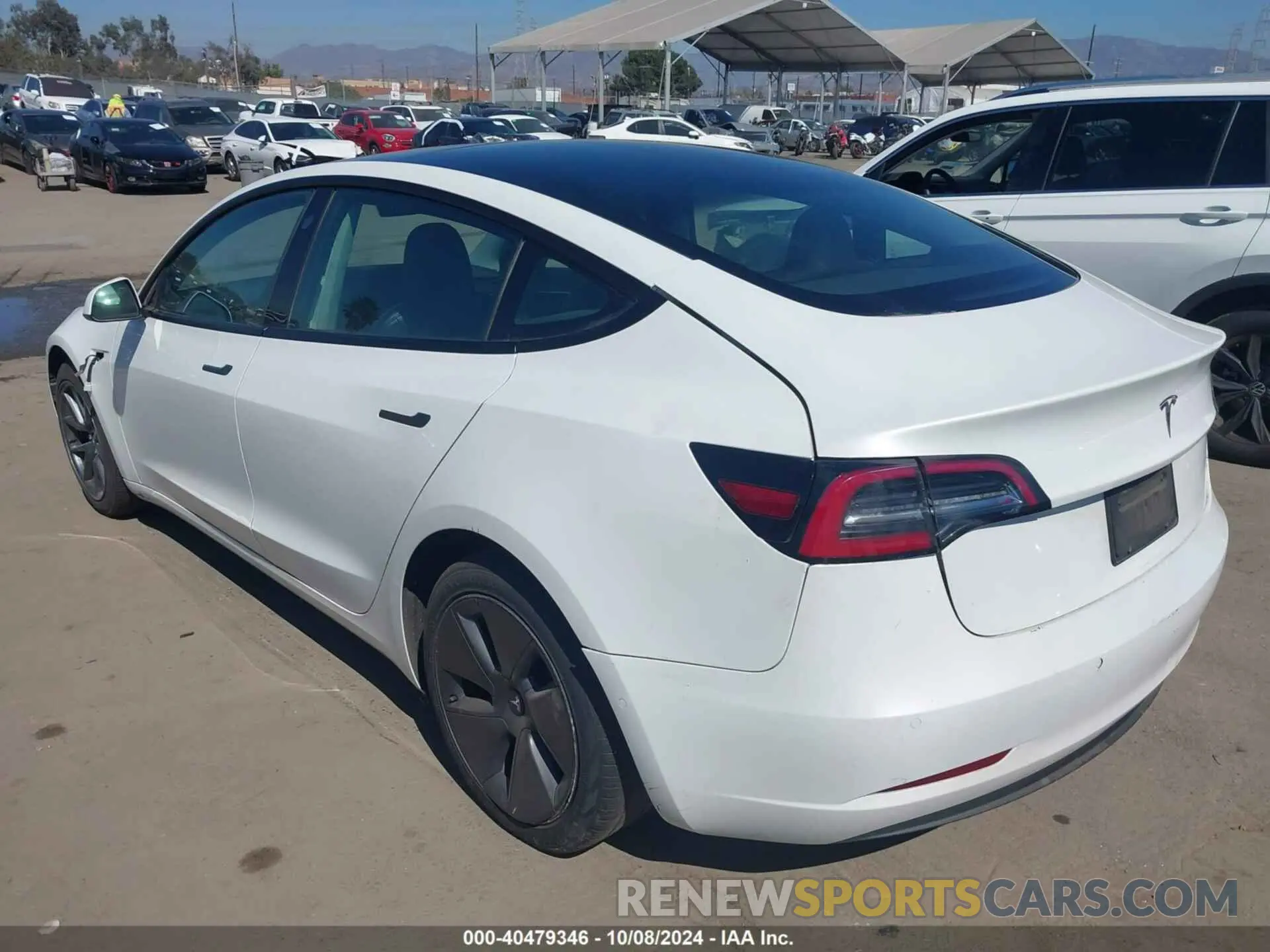 3 Photograph of a damaged car 5YJ3E1EA8MF059133 TESLA MODEL 3 2021