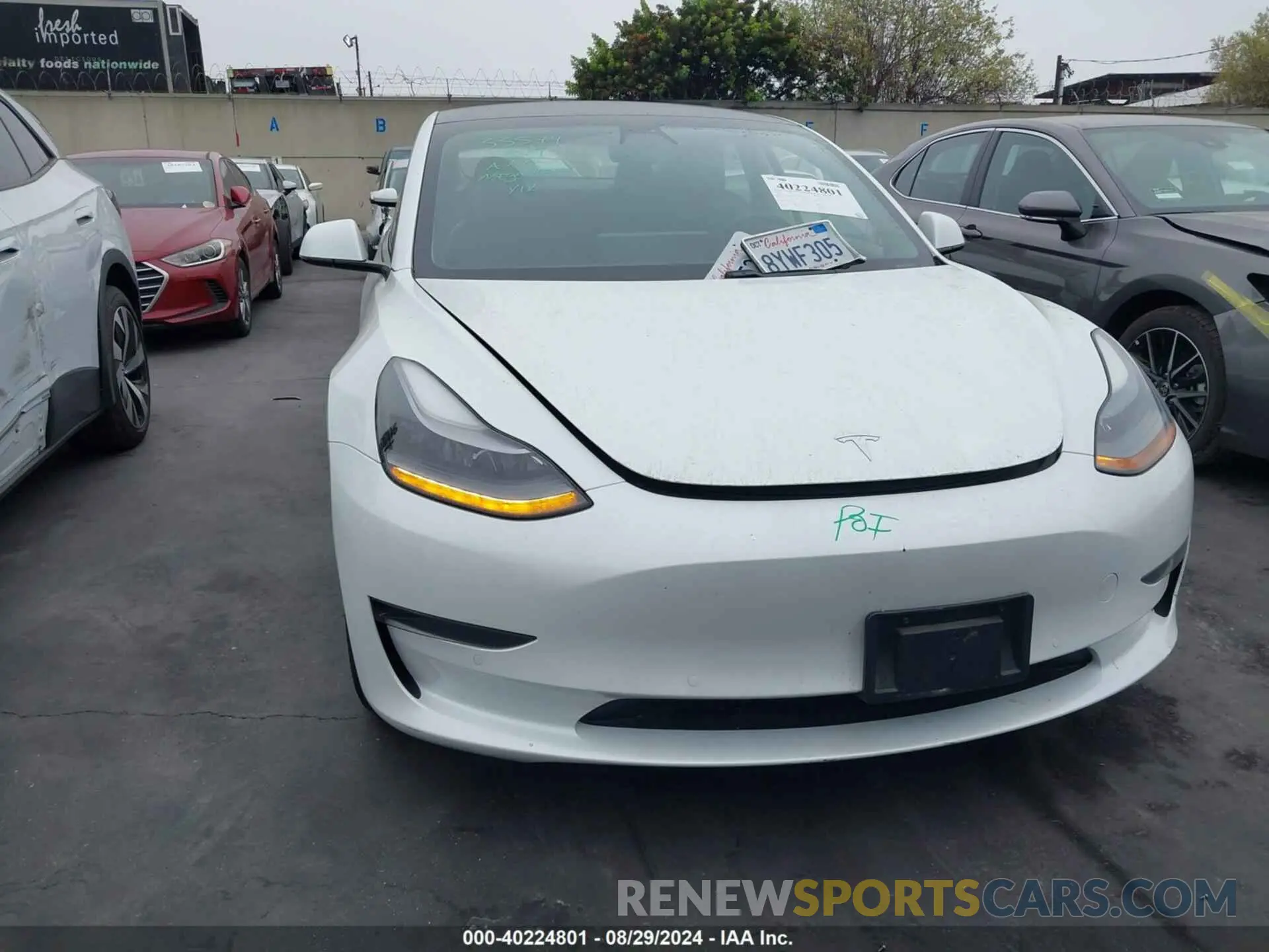 12 Photograph of a damaged car 5YJ3E1EAXMF074796 TESLA MODEL 3 2021