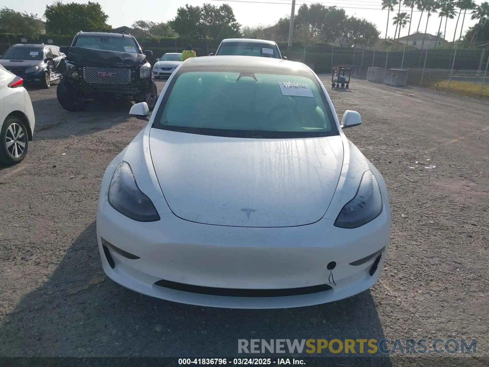12 Photograph of a damaged car 5YJ3E1EAXMF908601 TESLA MODEL 3 2021