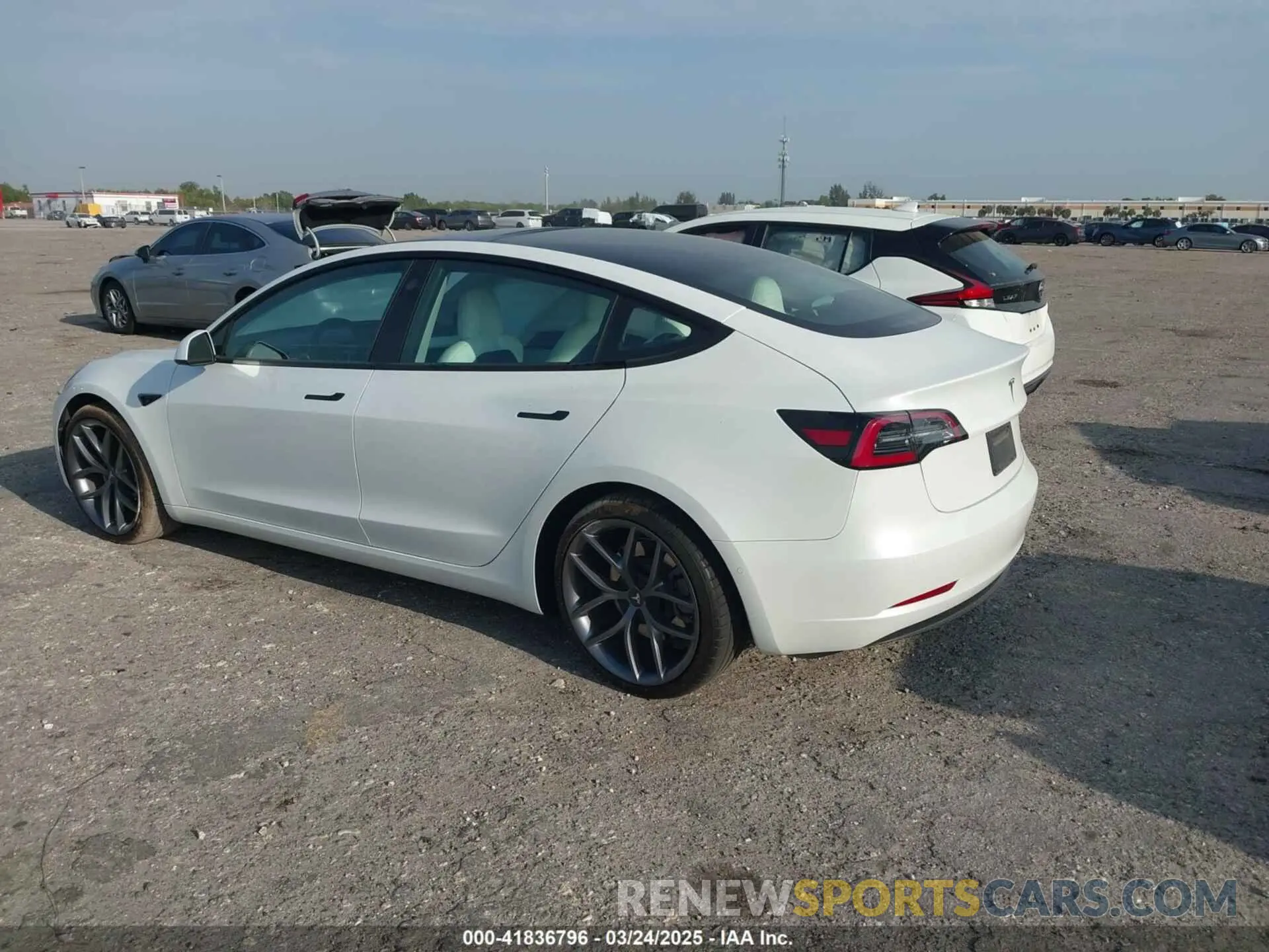 3 Photograph of a damaged car 5YJ3E1EAXMF908601 TESLA MODEL 3 2021